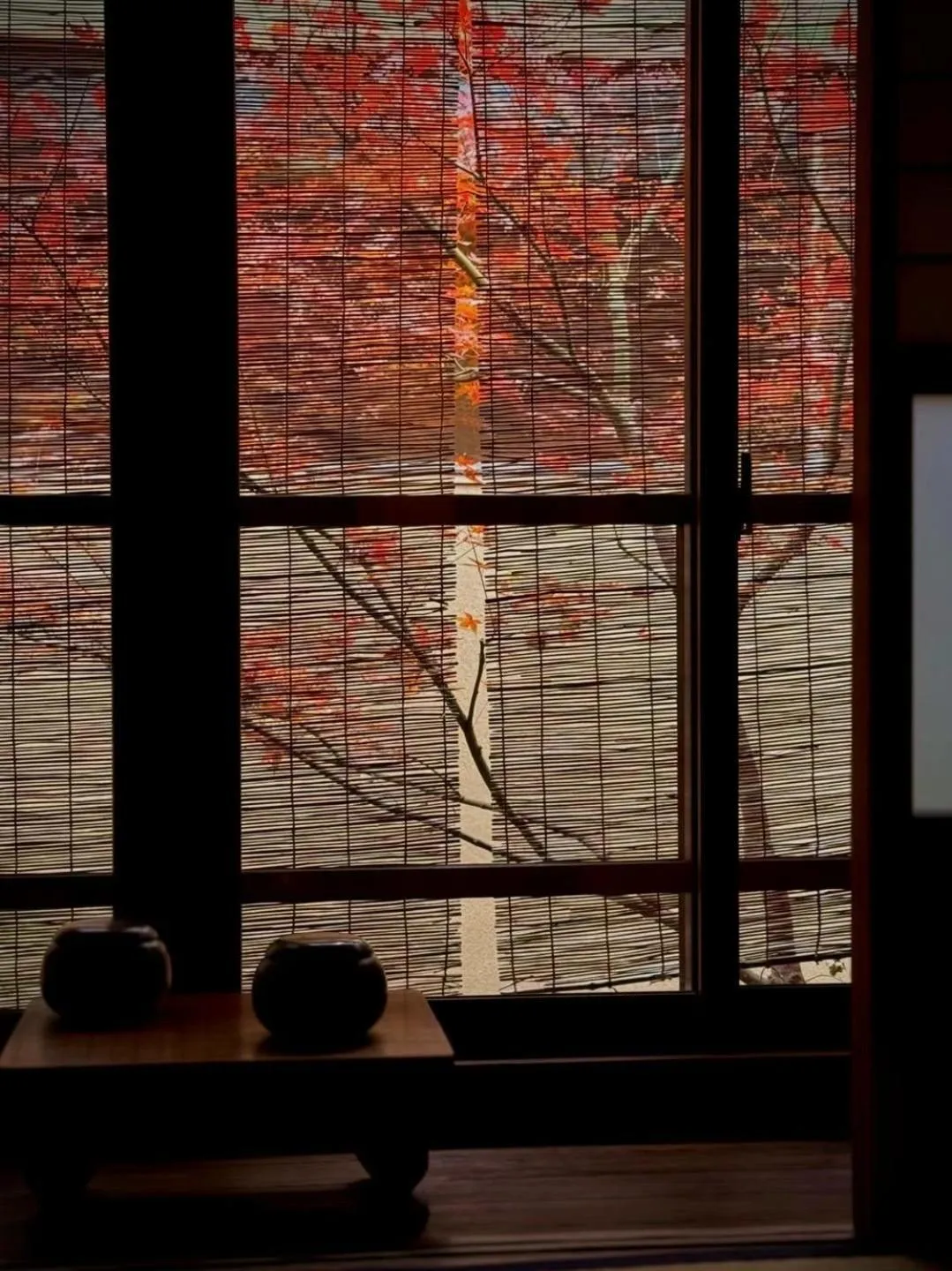 Garden view in Ryokan Tori