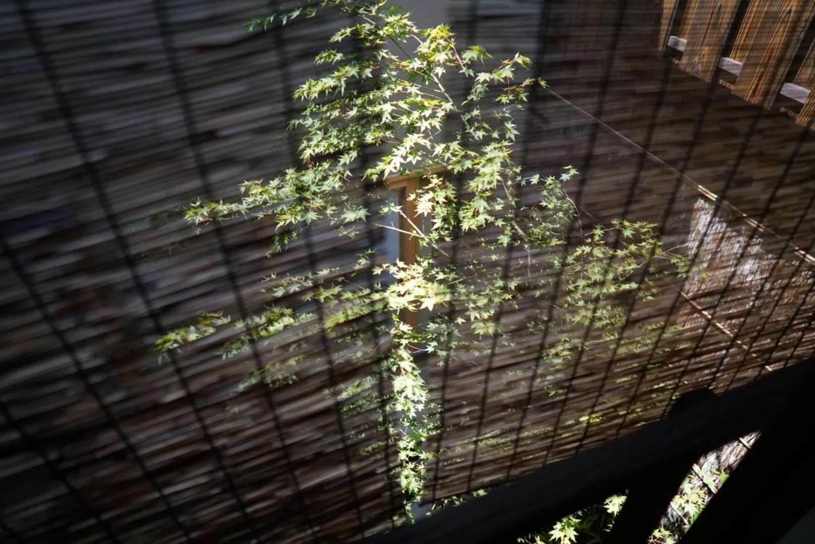 Bathroom in Ryokan Tori