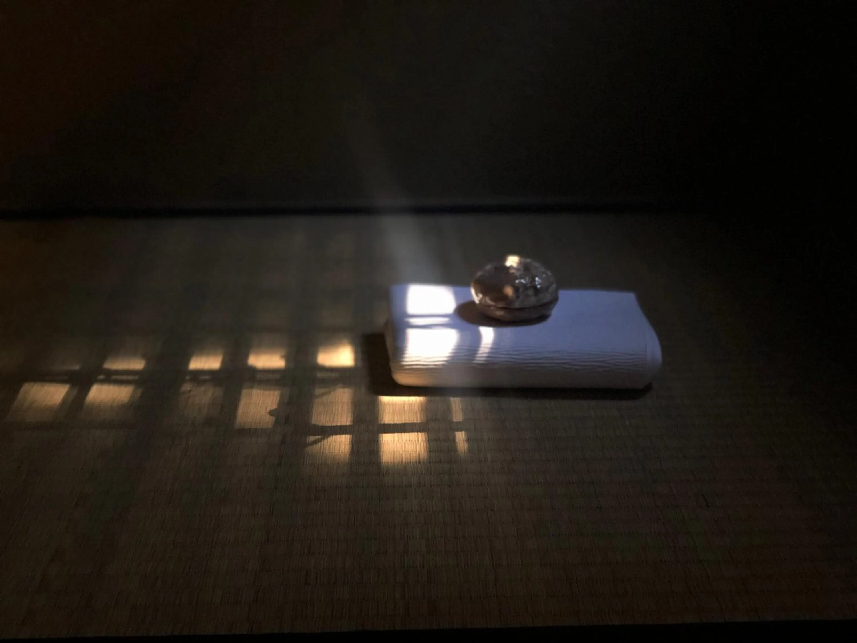 Drinks in Ryokan Tori