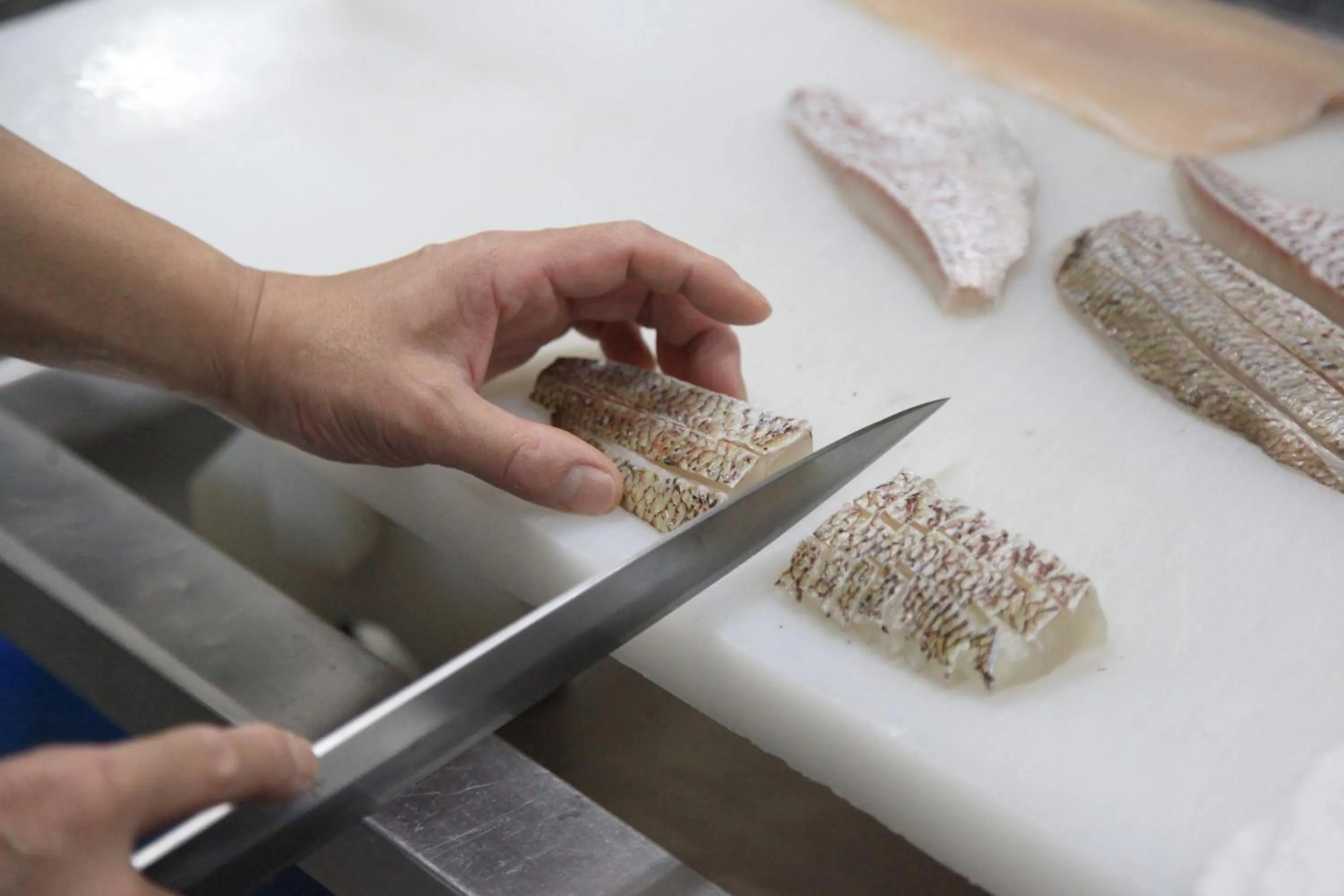 Food close-up in Hotel New Kotobuki