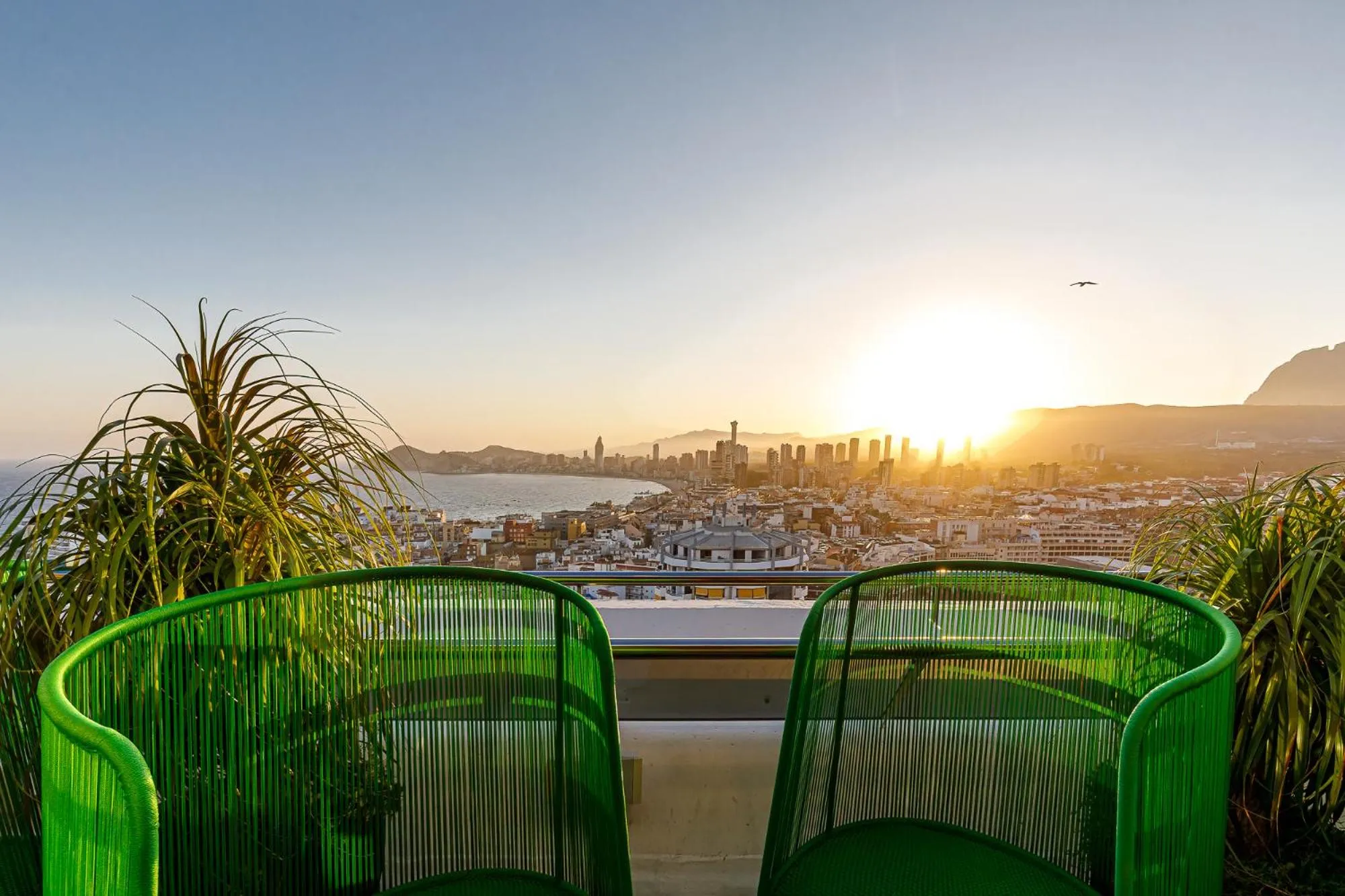 Summer in Hotel Madeira Centro