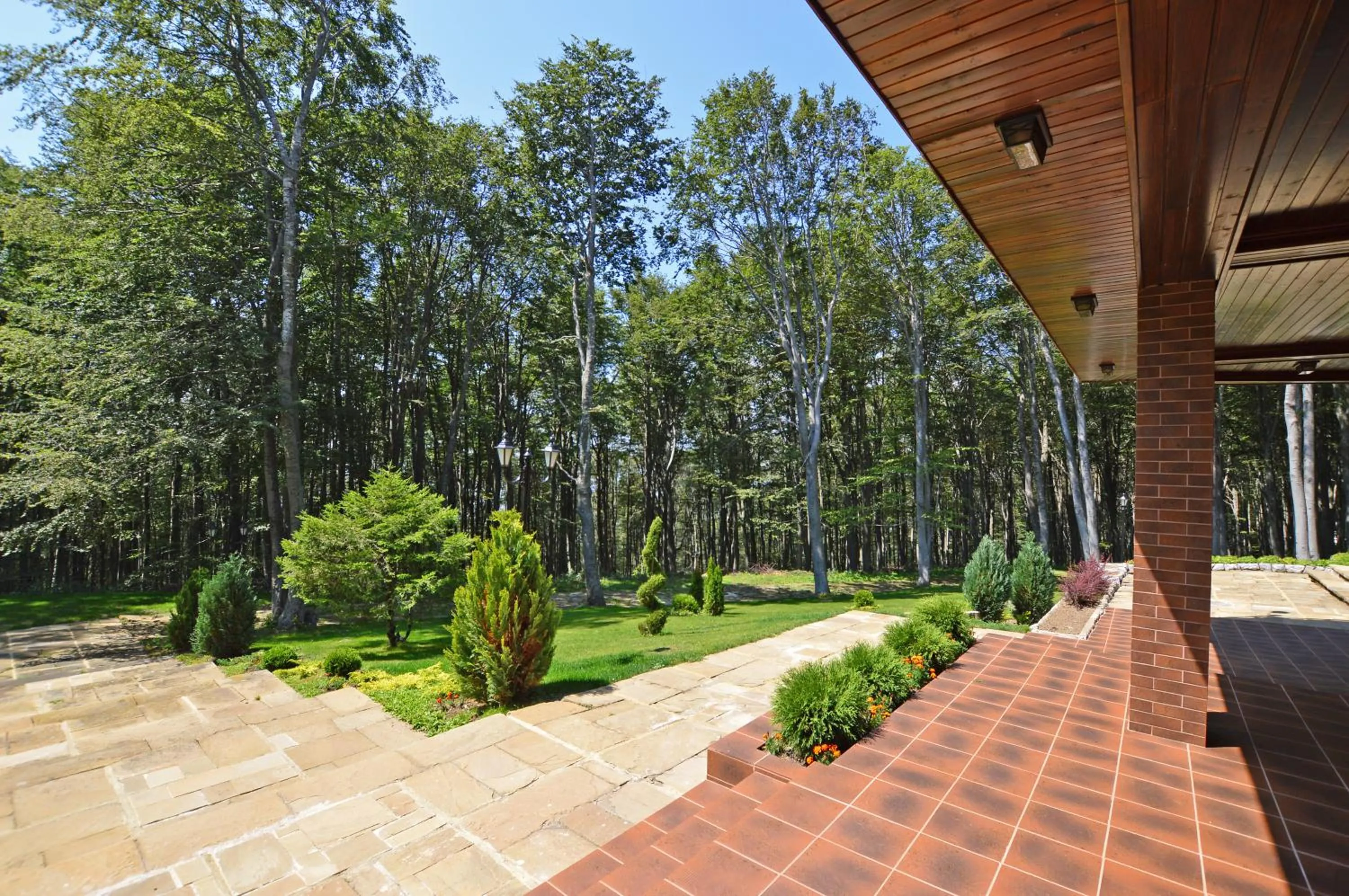 Garden in Hotel Edelweiss