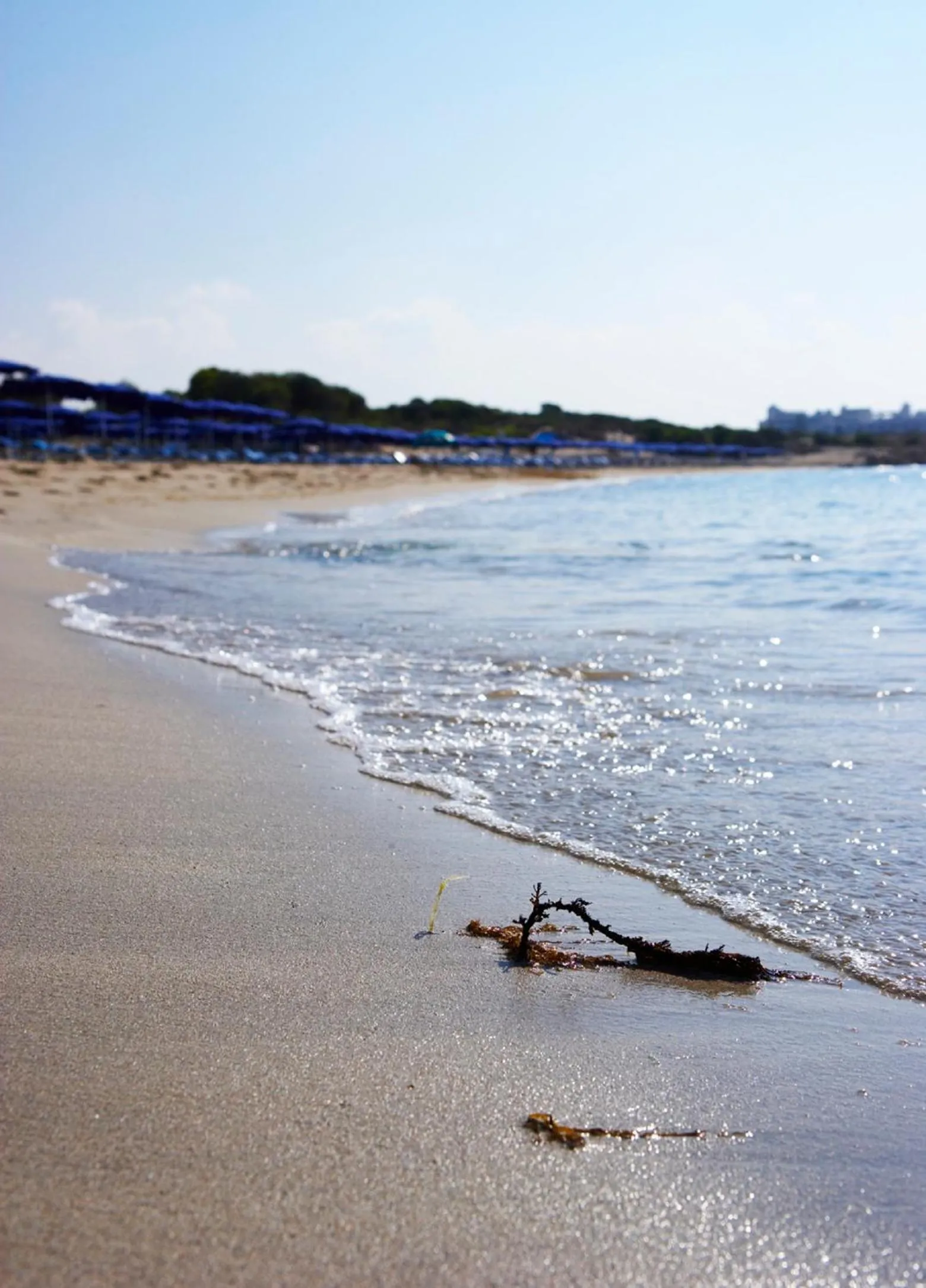 Beach in So Nice Beach Resort