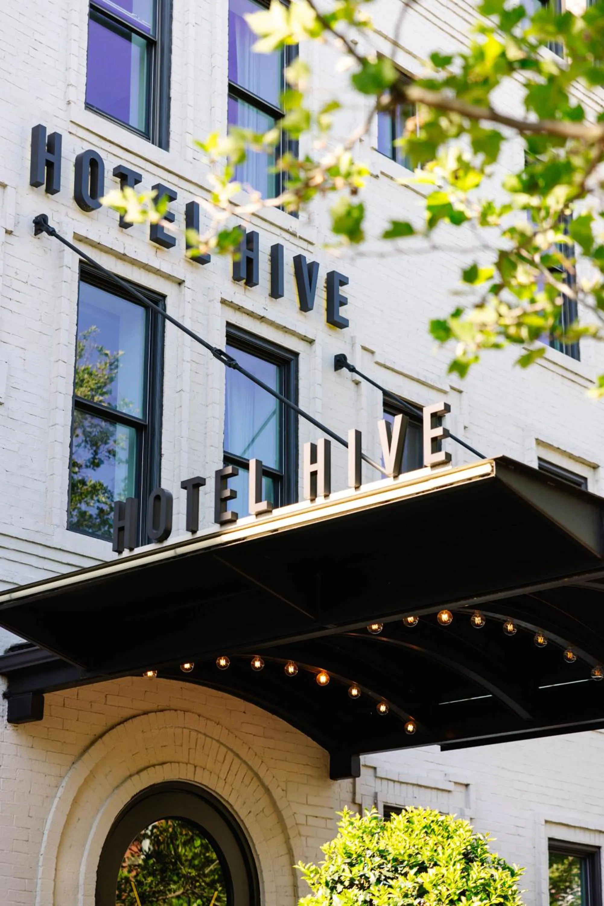 Property building in Hotel Hive