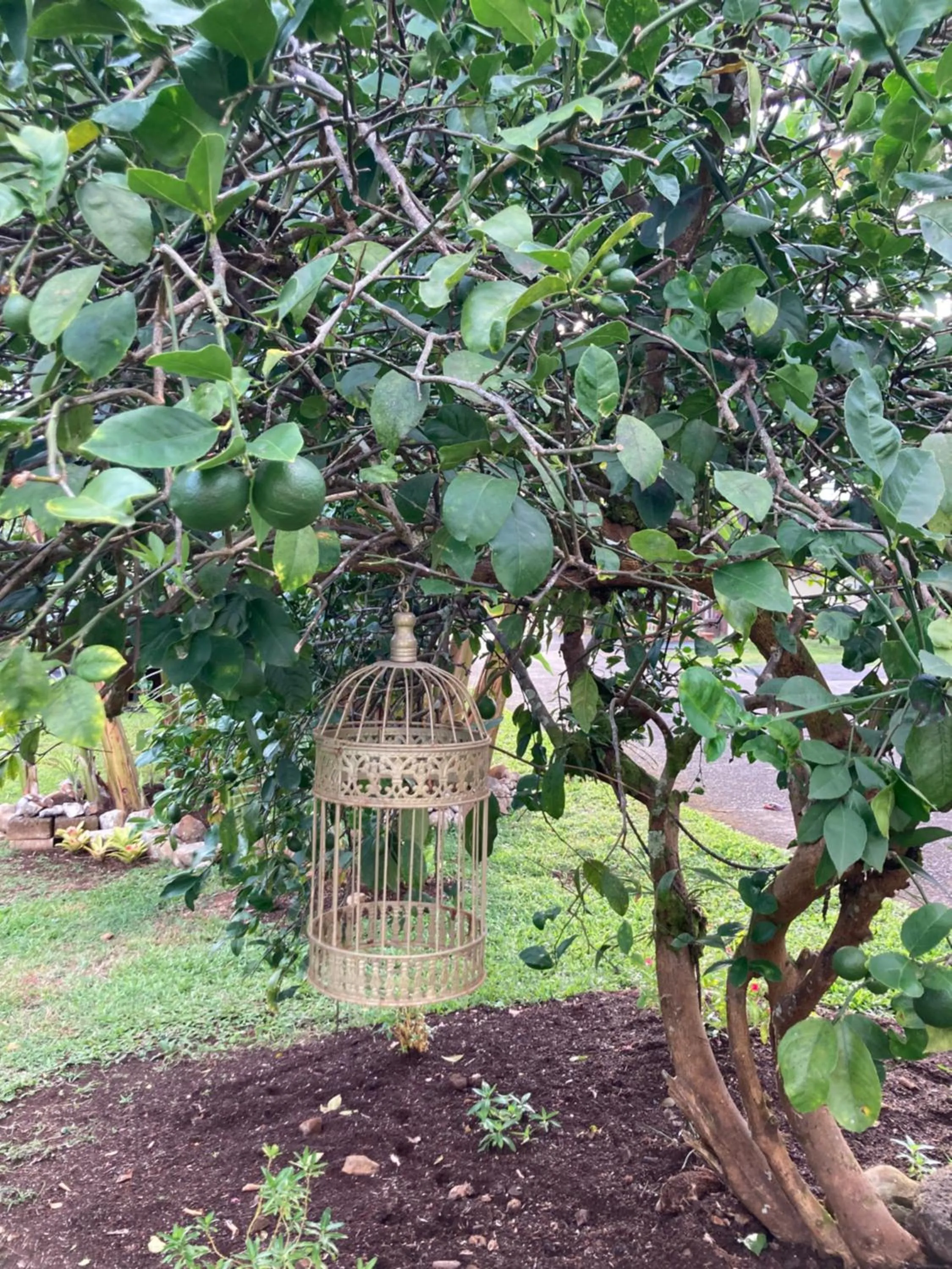 Property building in Hilo Bay Oceanfront Bed and Breakfast