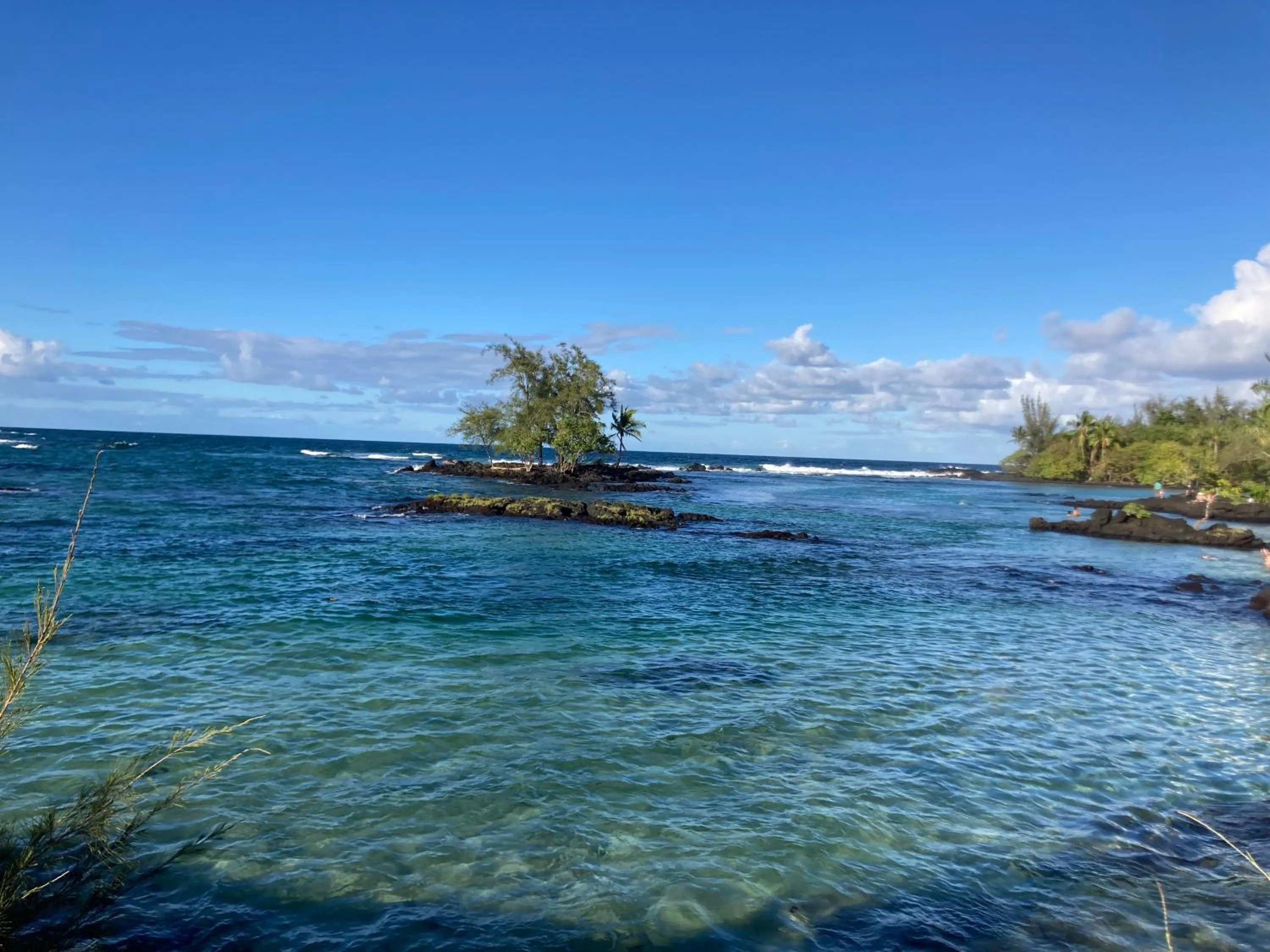 Activities in Hilo Bay Oceanfront Bed and Breakfast