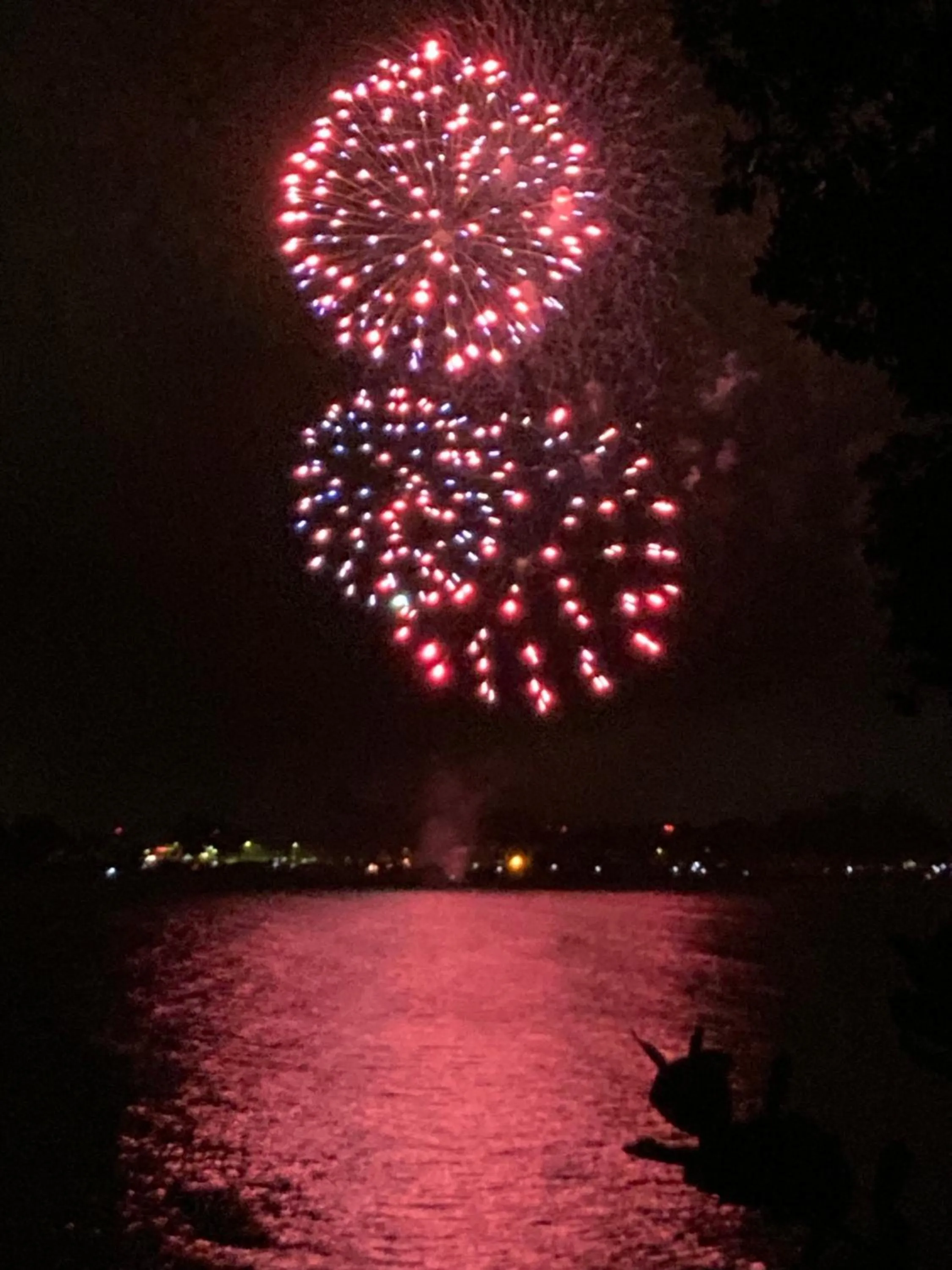 Sea view in Hilo Bay Oceanfront Bed and Breakfast