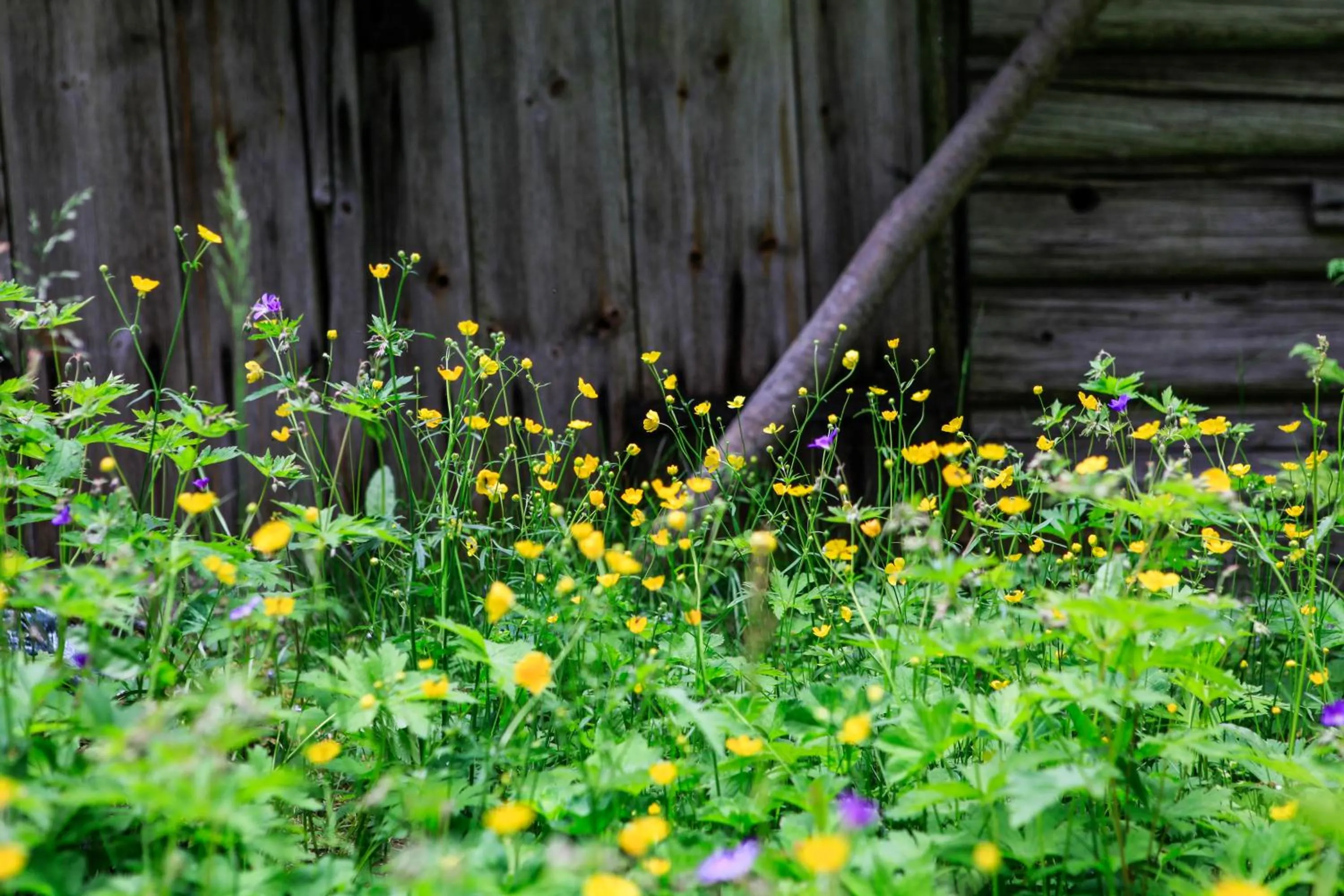 Garden in Hotell Klockargården