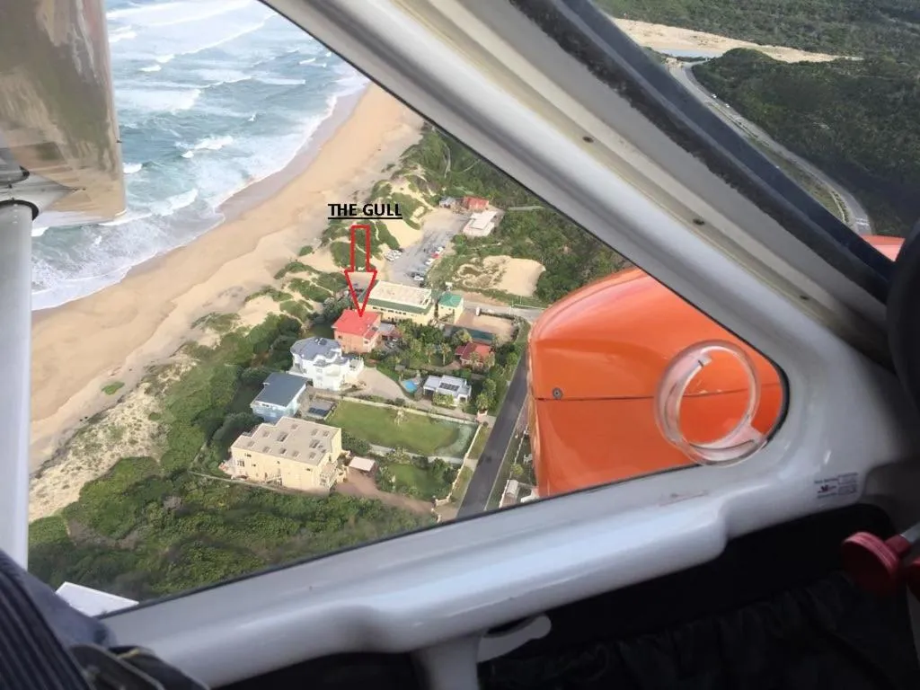 Bird's eye view in The Gull