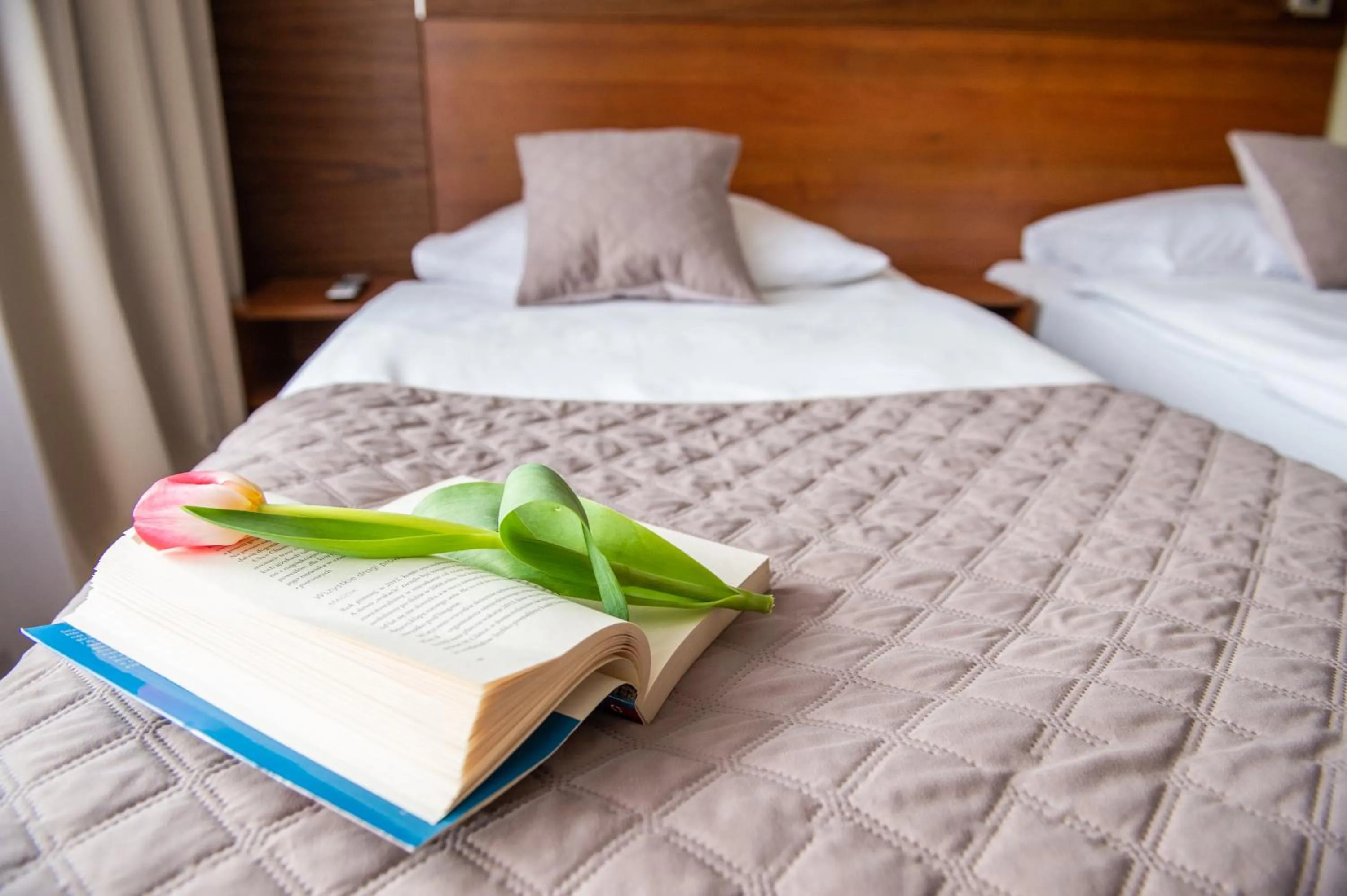 Photo of the whole room, Bed in Hotel Ostaniec