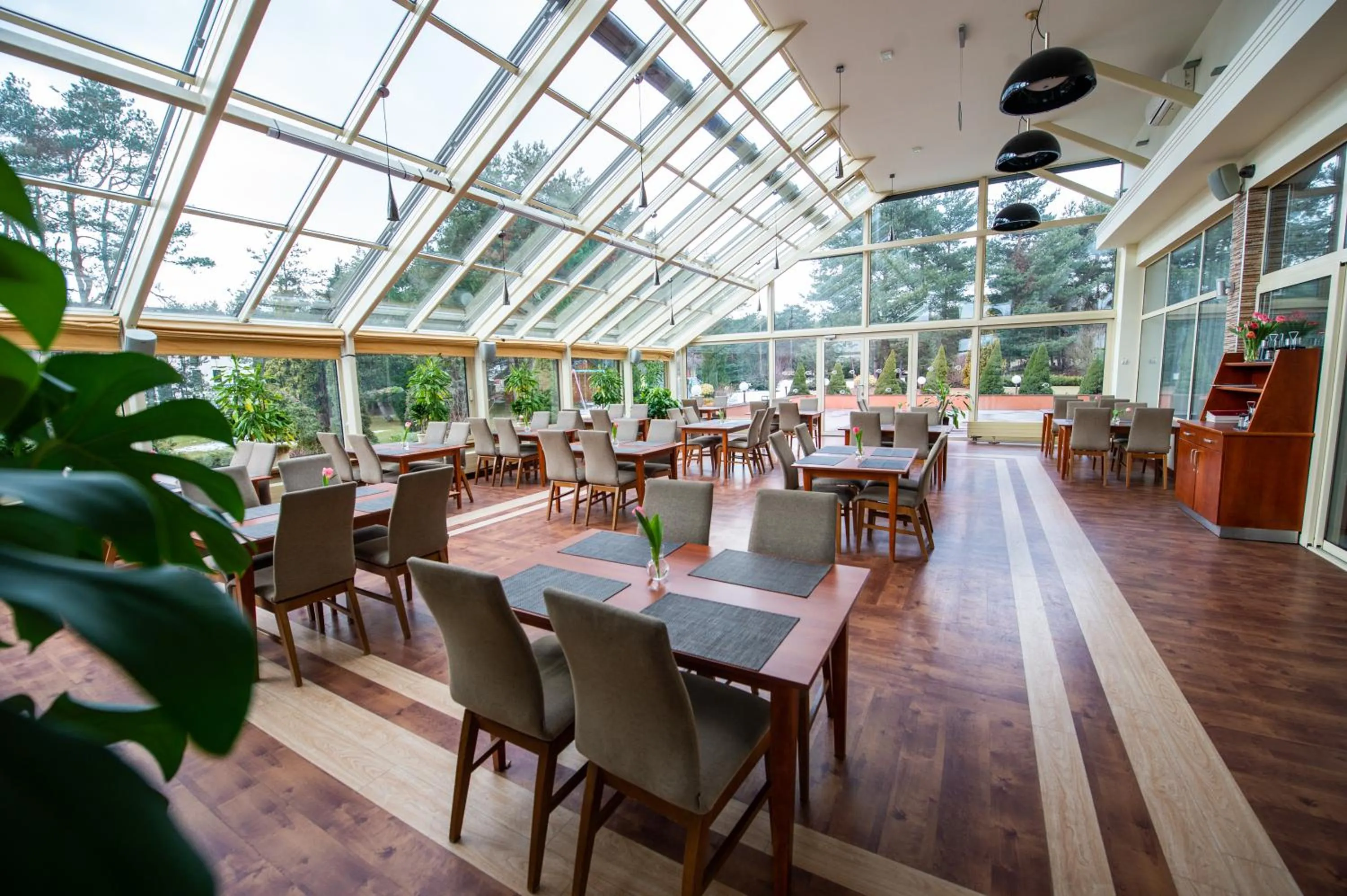 Restaurant/places to eat in Hotel Ostaniec