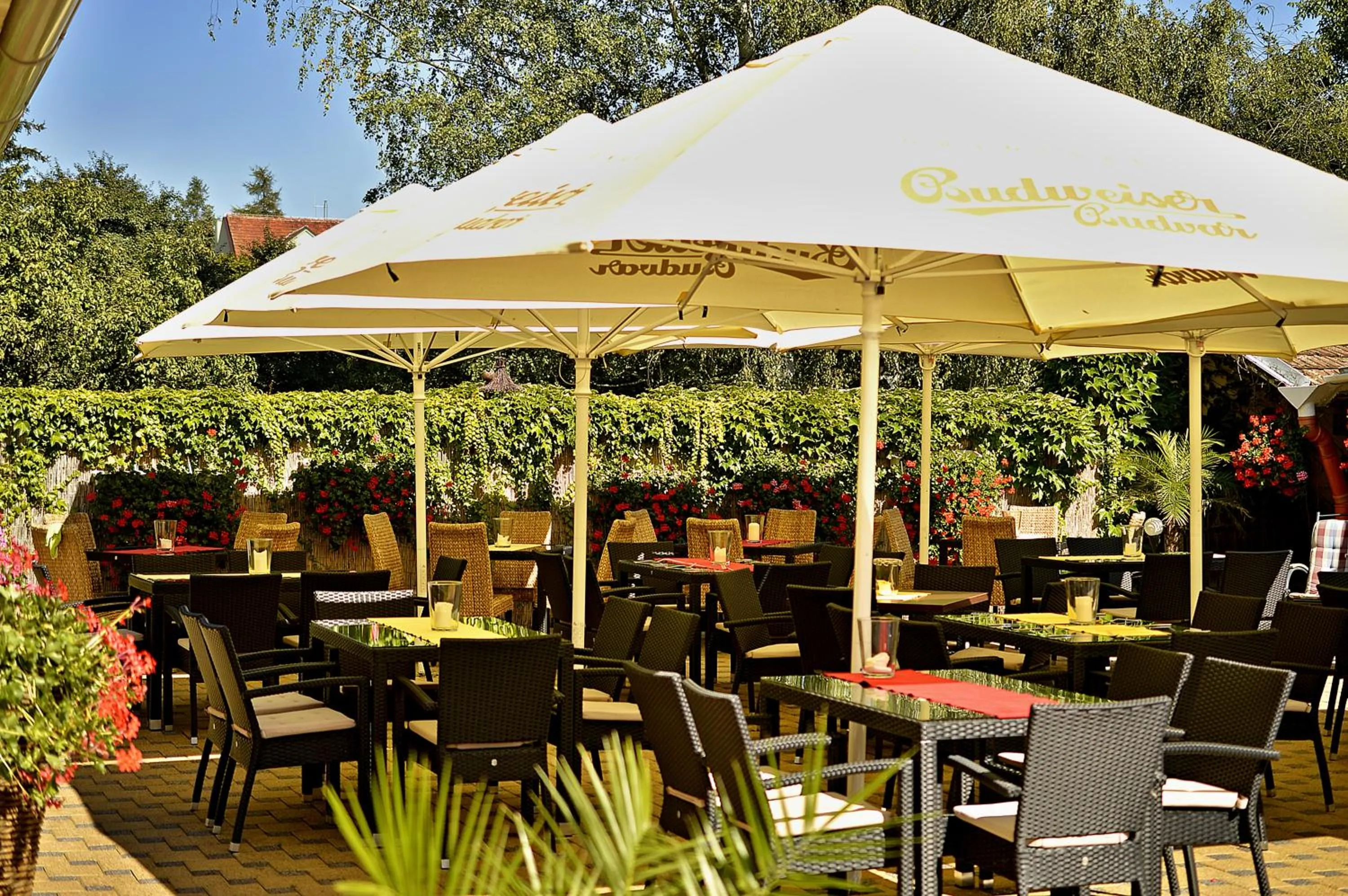 Restaurant/places to eat in Hotel Florian