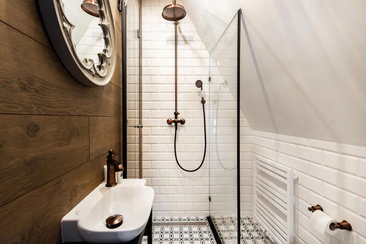 Shower in Gotyk House