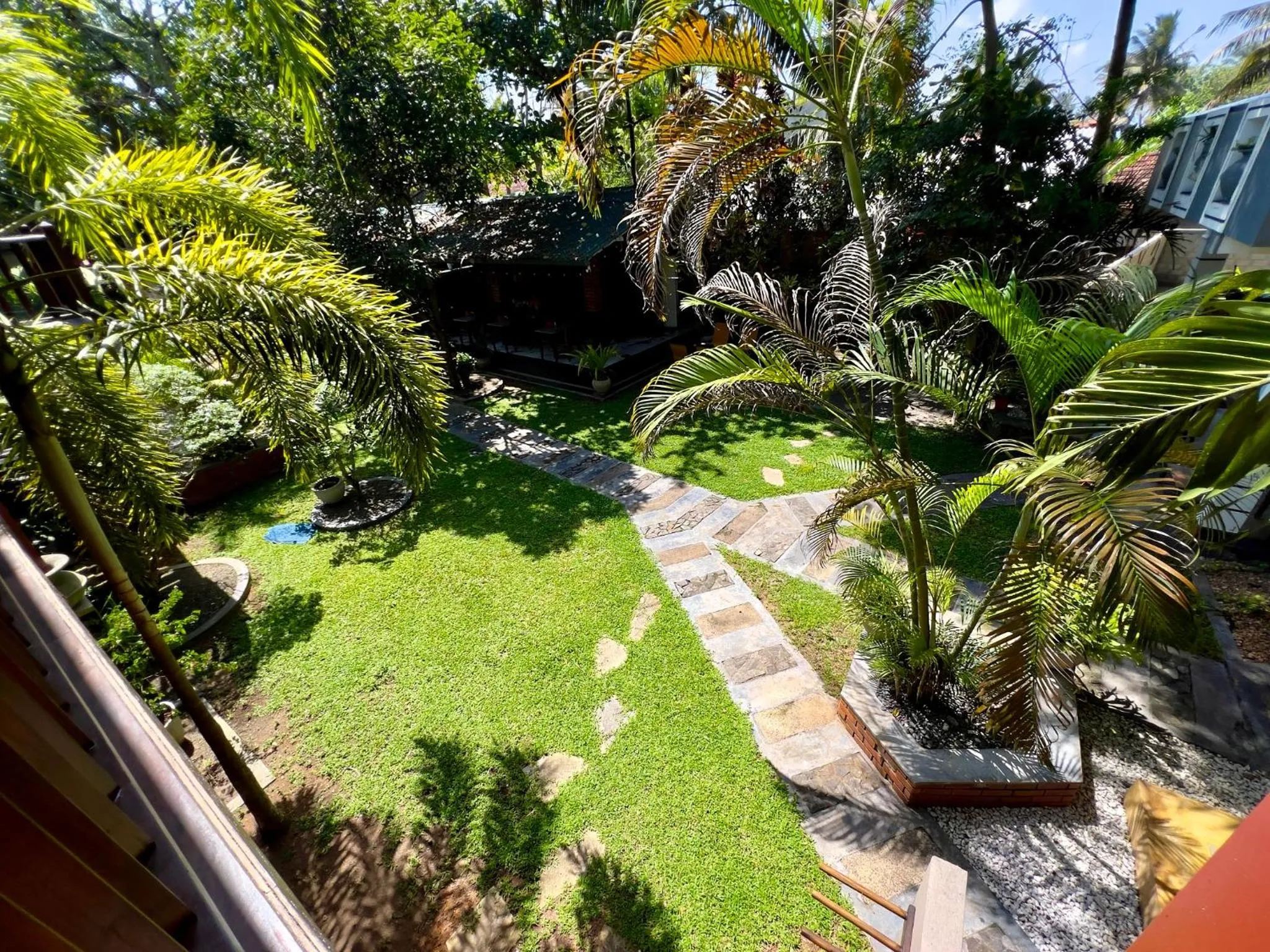 Natural landscape in Crystal Palace