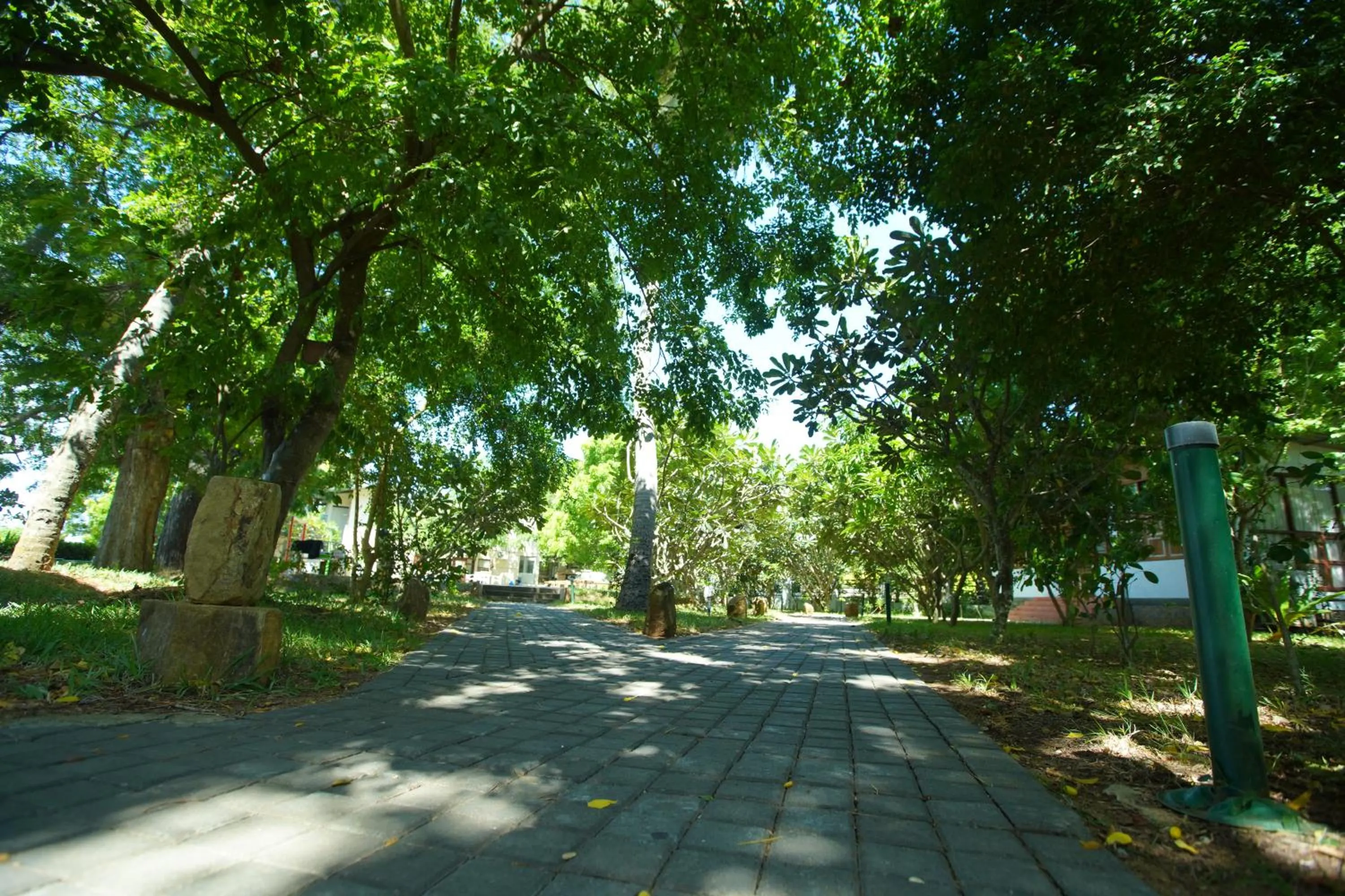 Garden in Jade Green Hotel Hambantota