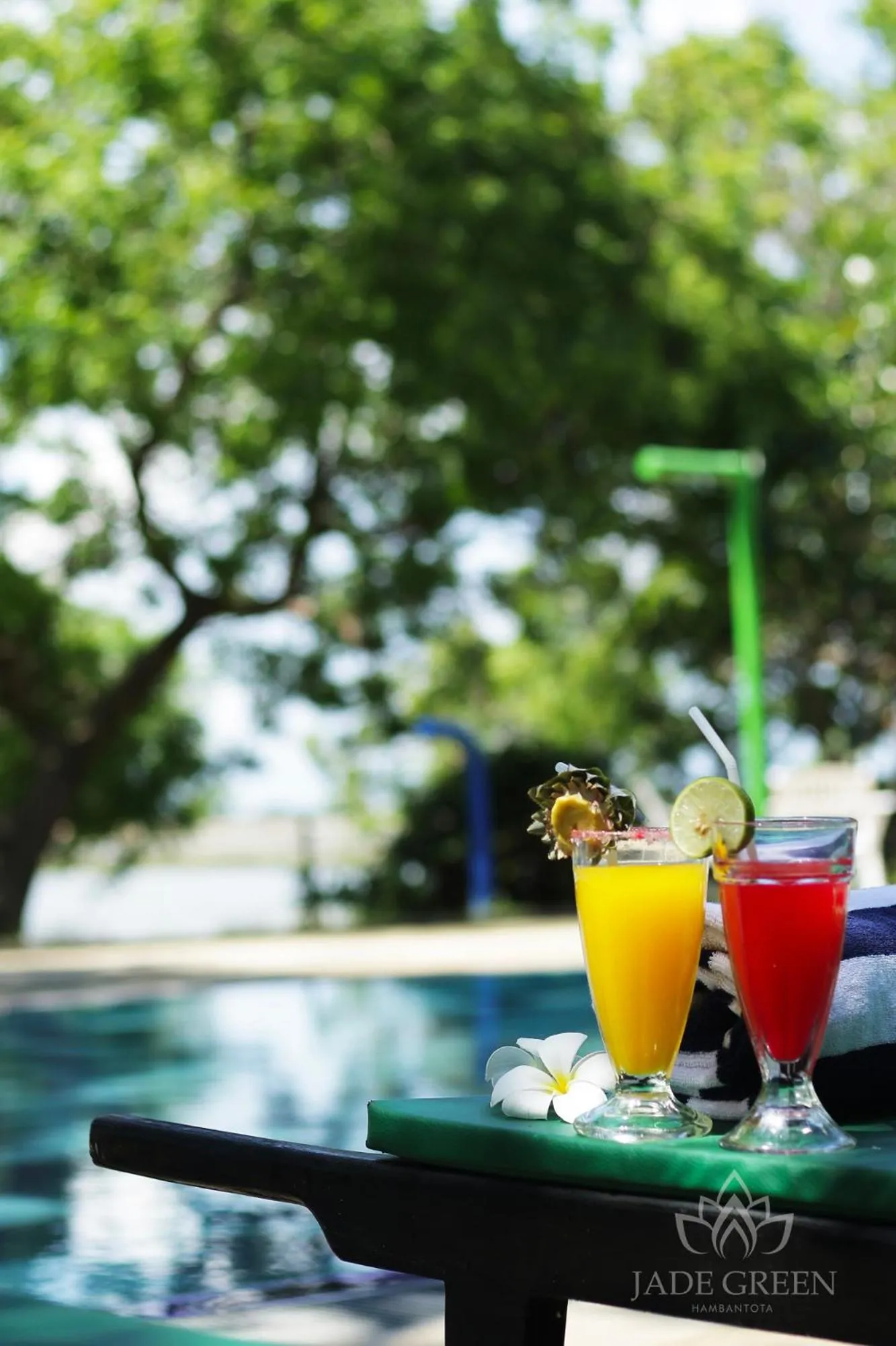 Pool view in Jade Green Hotel Hambantota
