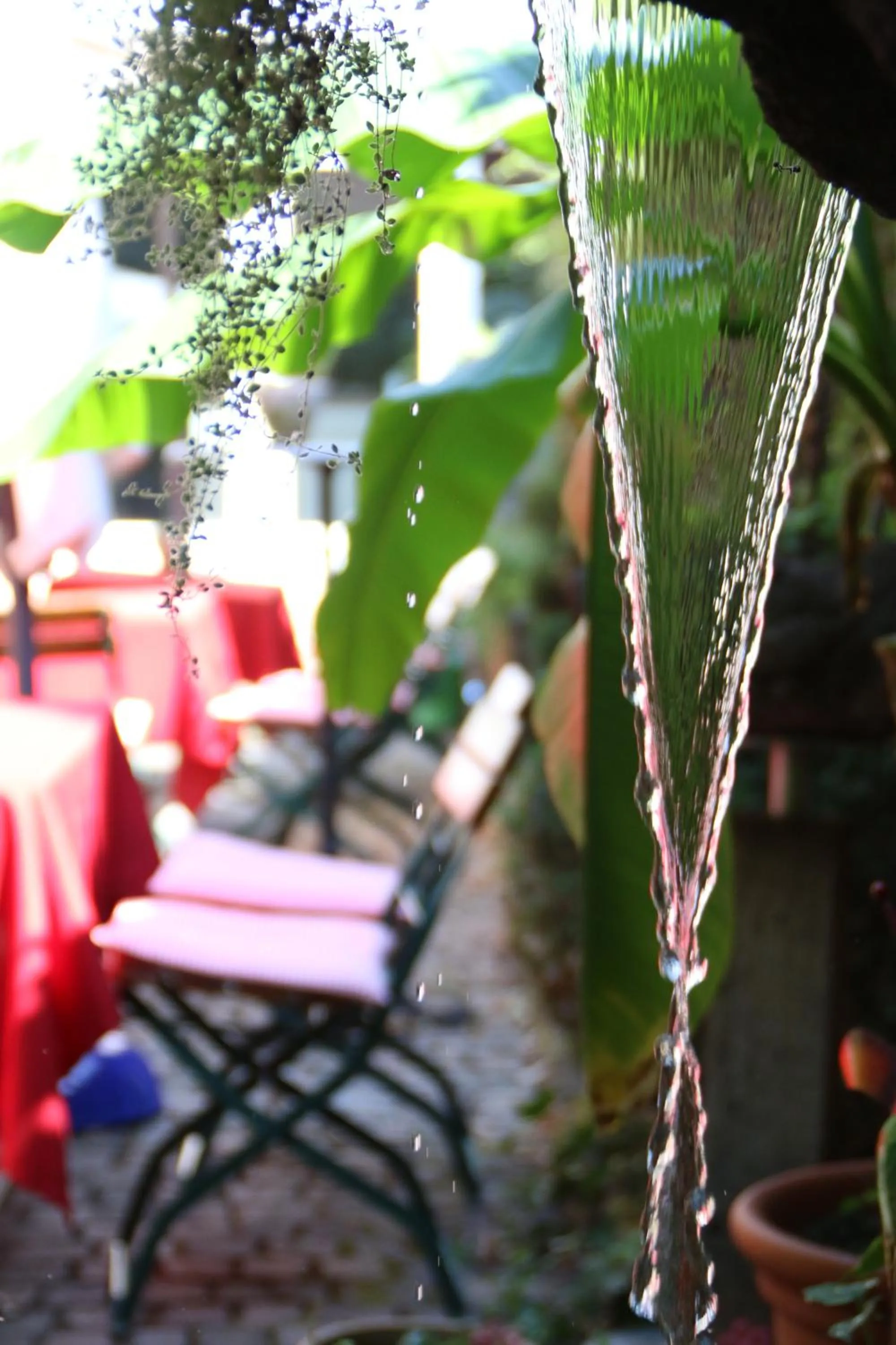 Decorative detail in Alter Winzerhof Weisenheim am Berg e.K.