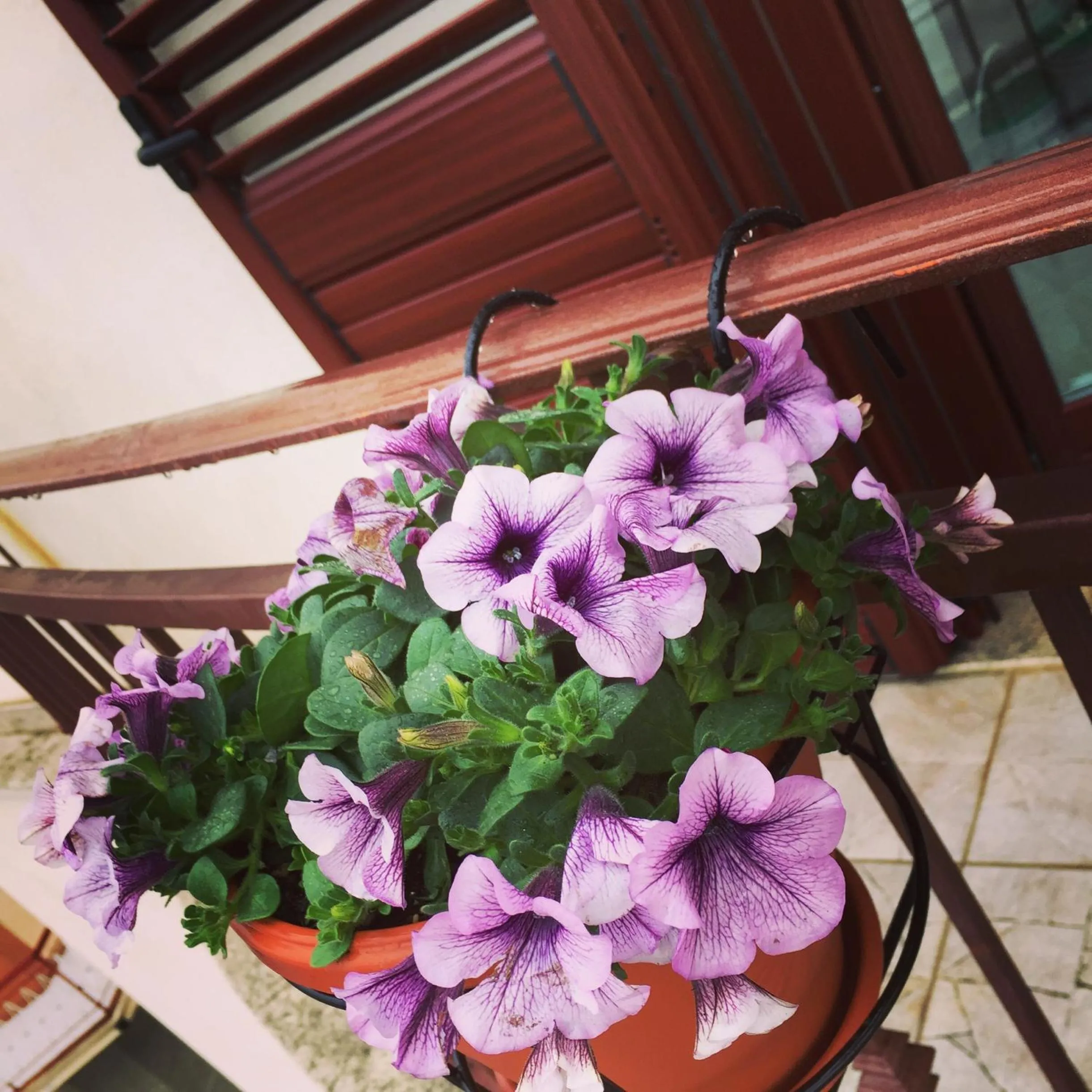 Property building in B&B Belvedere