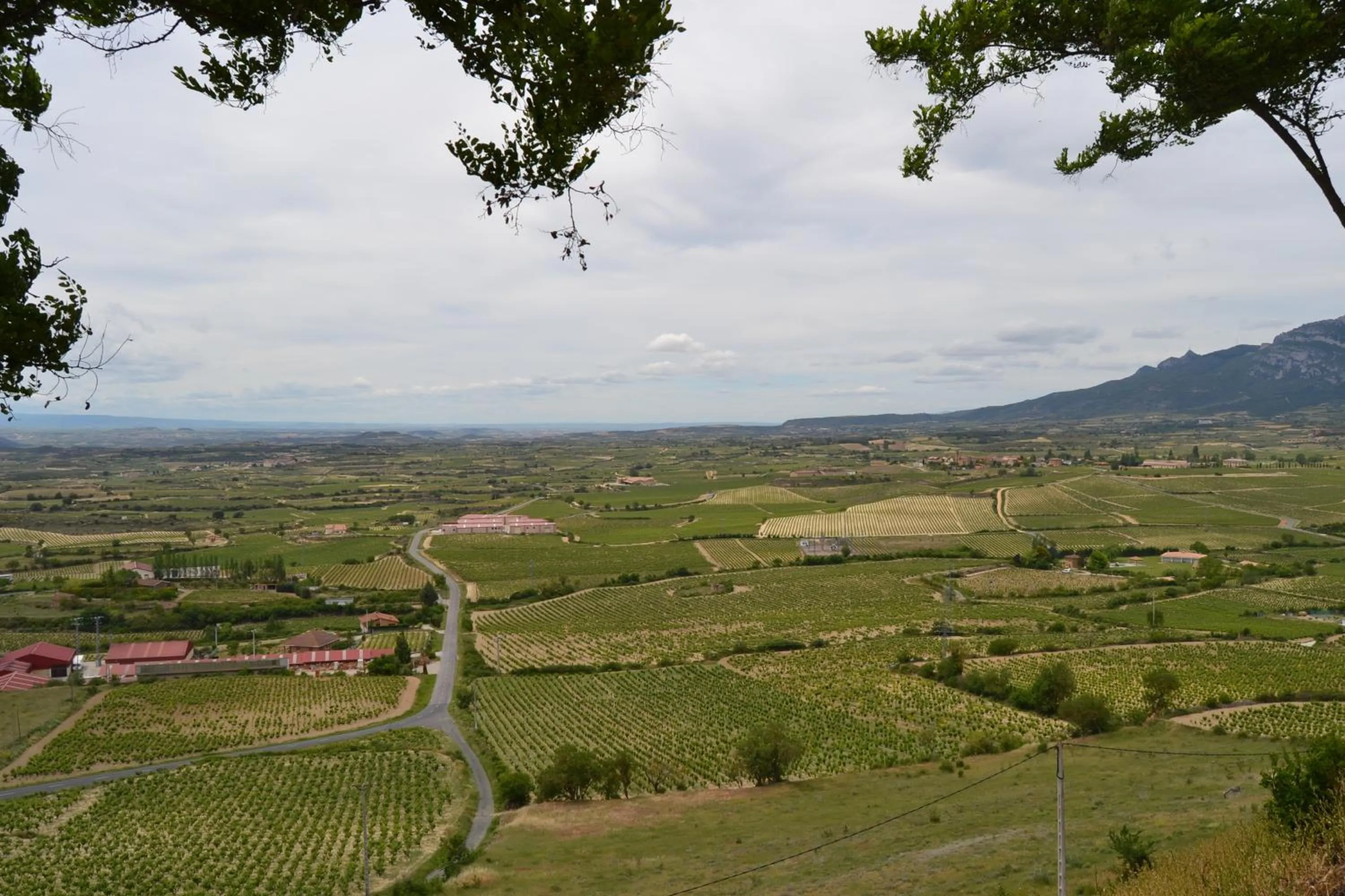 Bird's eye view in Posada Mayor de Migueloa