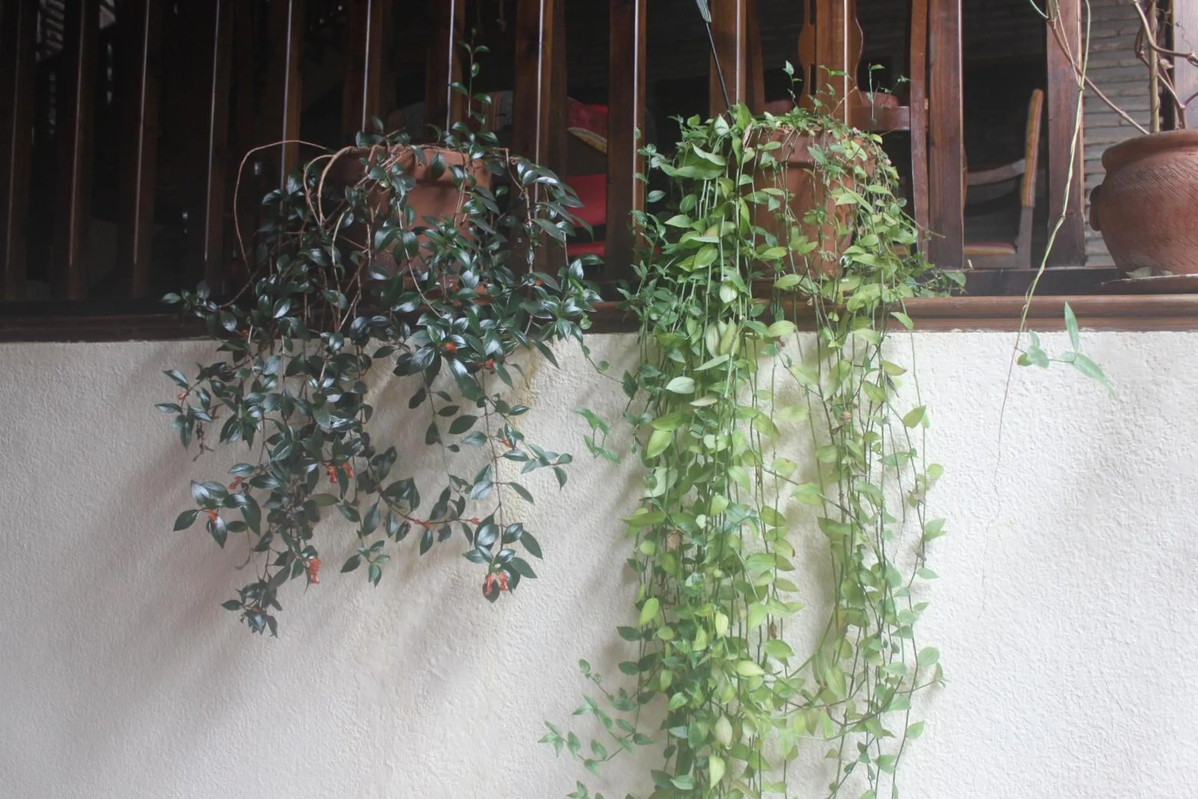 Other in Posada Mayor de Migueloa