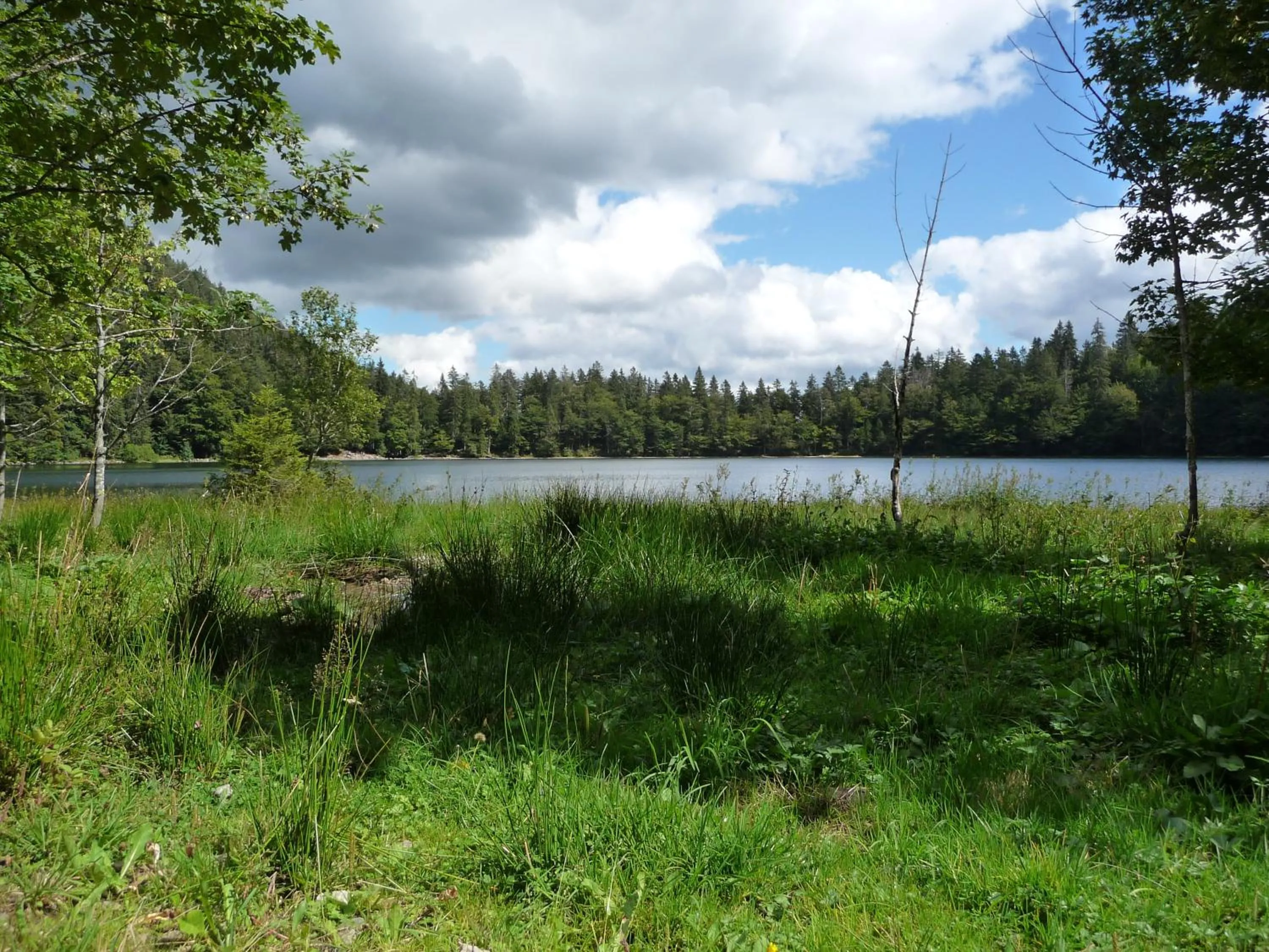 Natural landscape in Gasthaus-Pension Zum Kreuz
