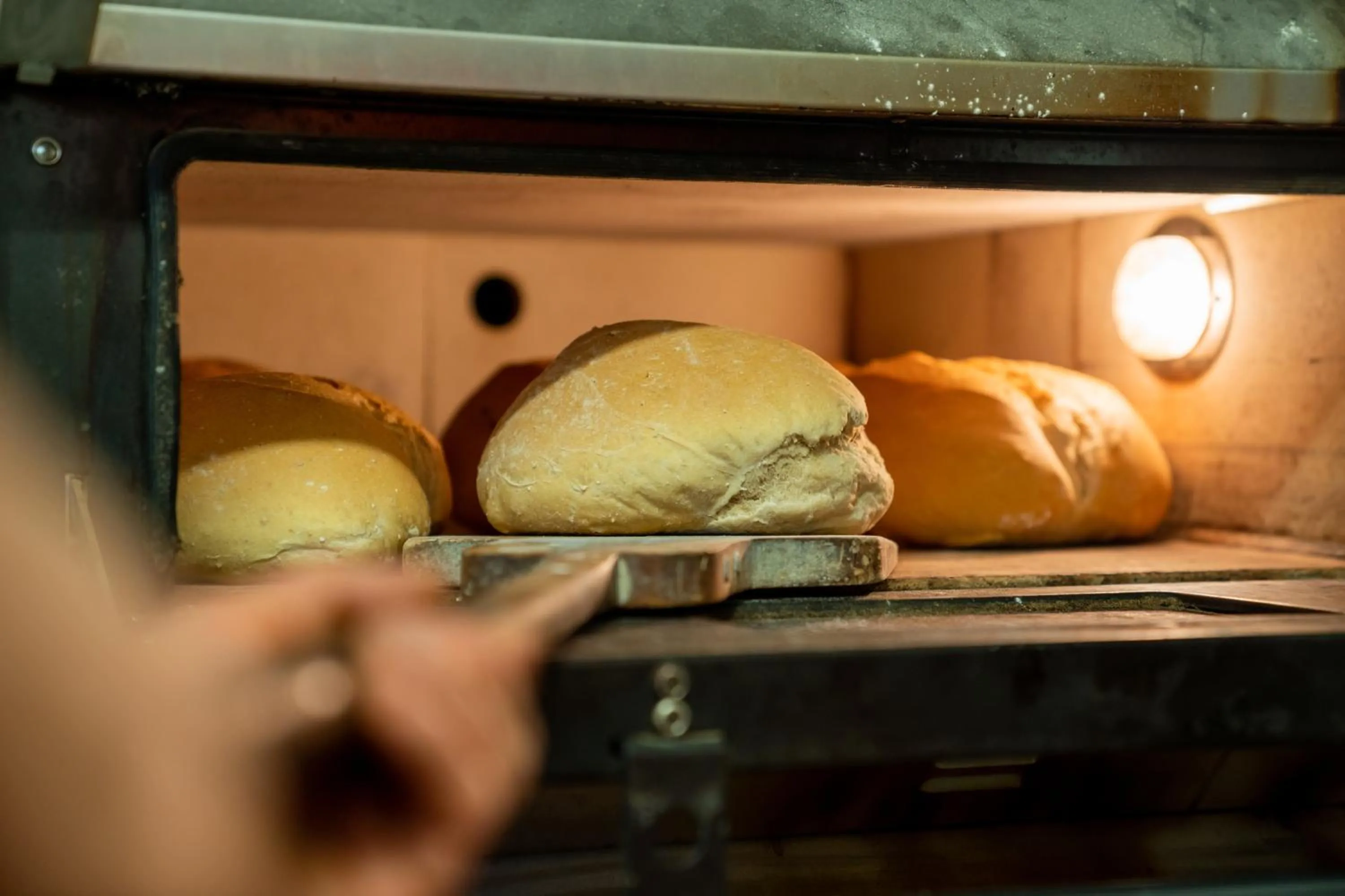 Food in Gasthaus-Pension Zum Kreuz