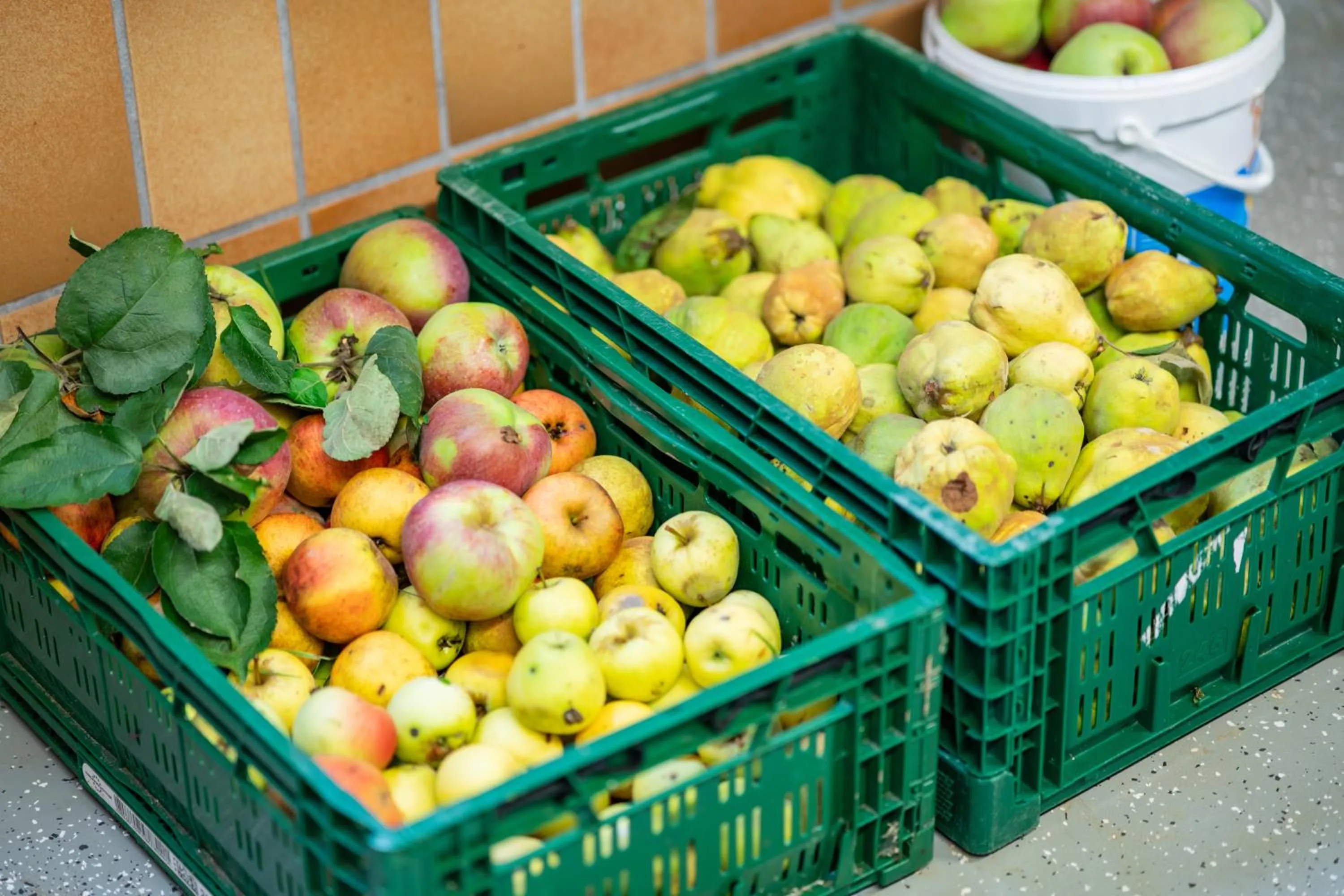 Other in Gasthaus-Pension Zum Kreuz