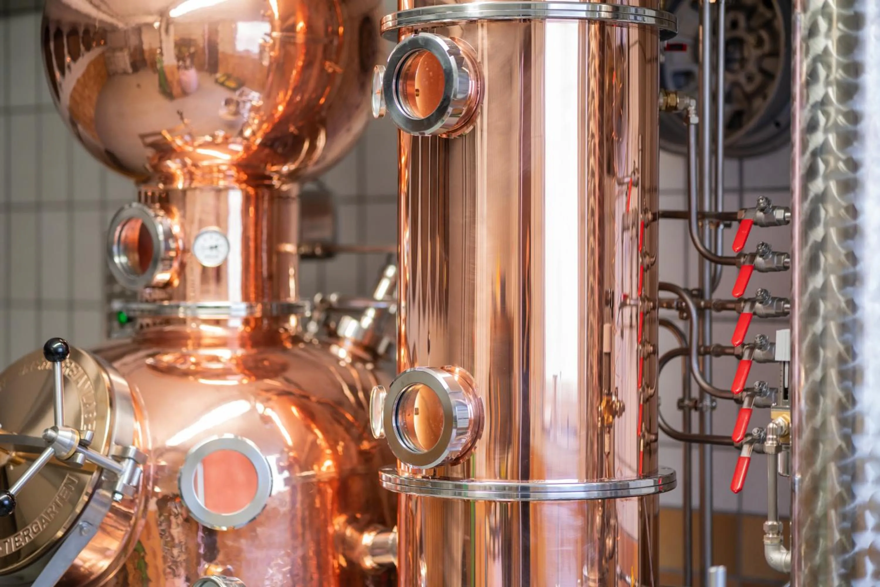 Area and facilities in Gasthaus-Pension Zum Kreuz