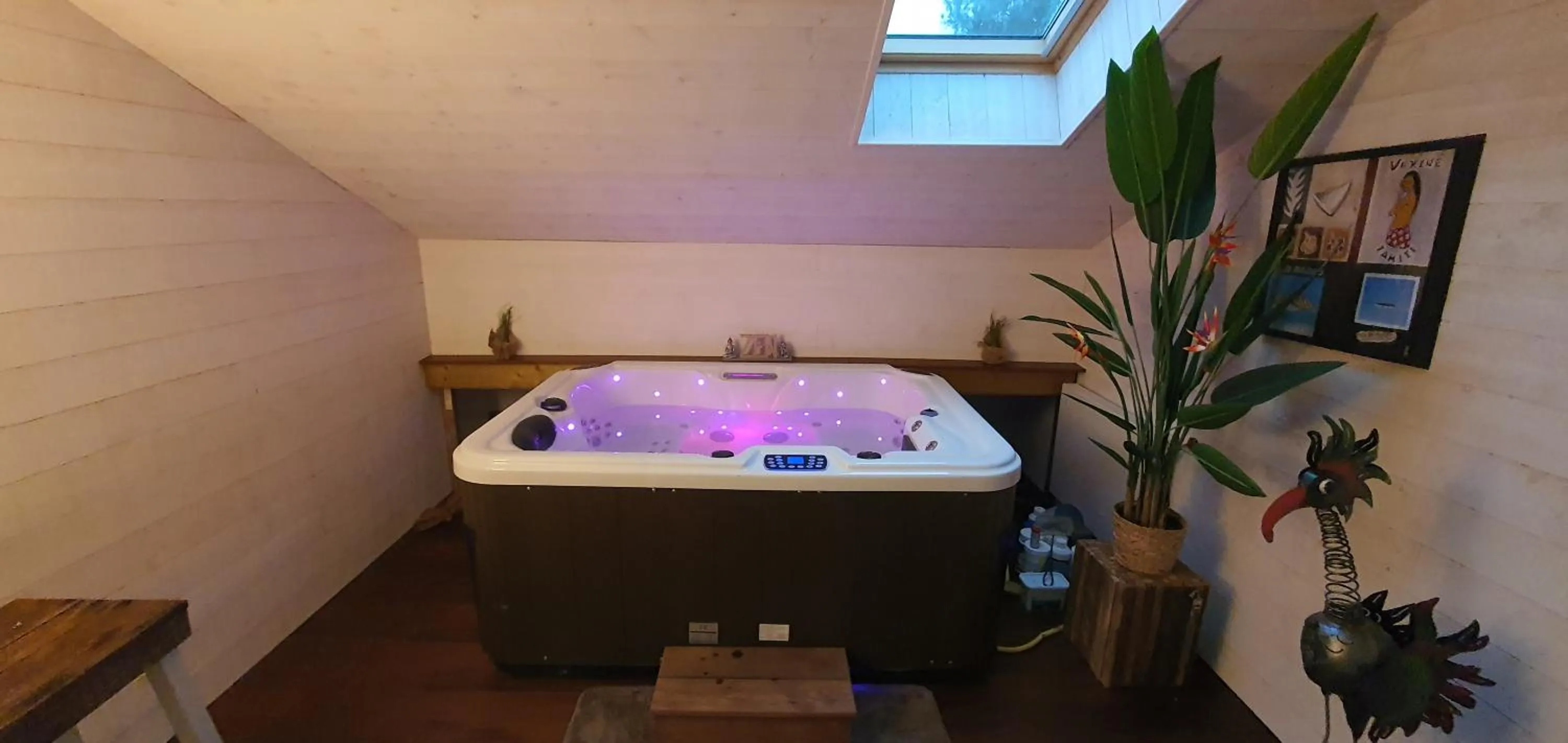 Spa and wellness centre/facilities in Villa BORA BORA