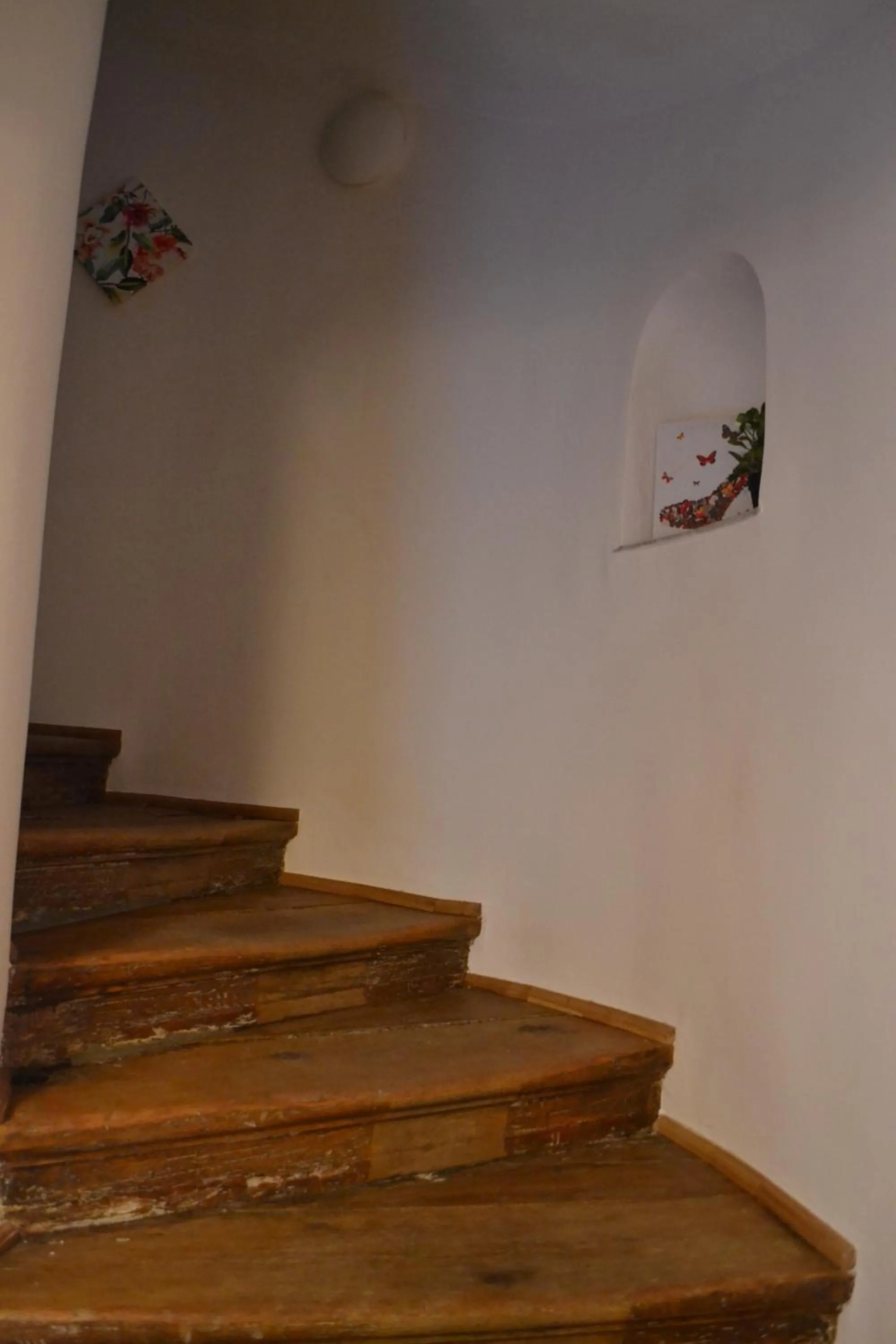 Facade/entrance in Casa Krone - Piața Sfatului