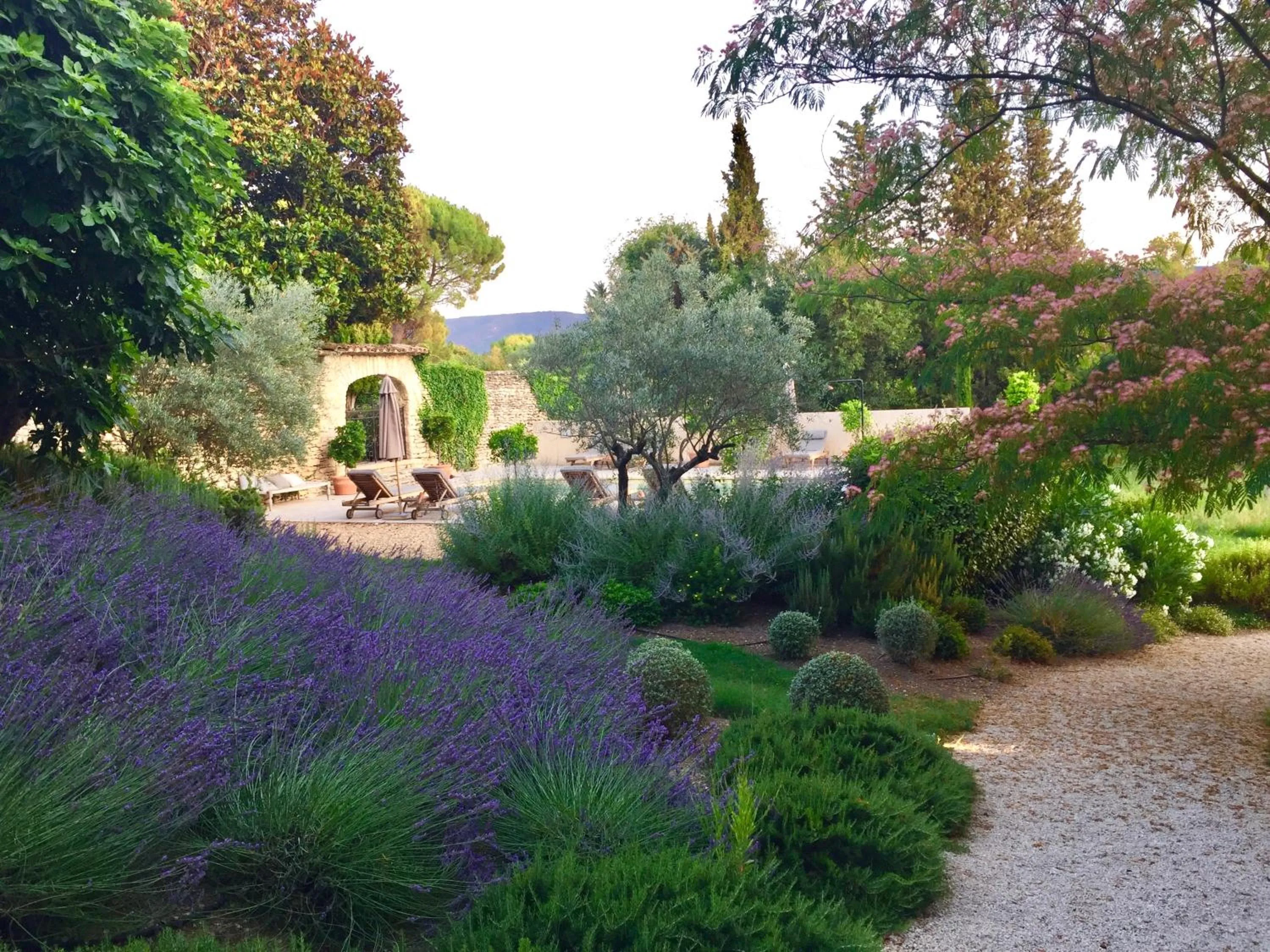 Garden view in Domaine Les Martins - Gordes