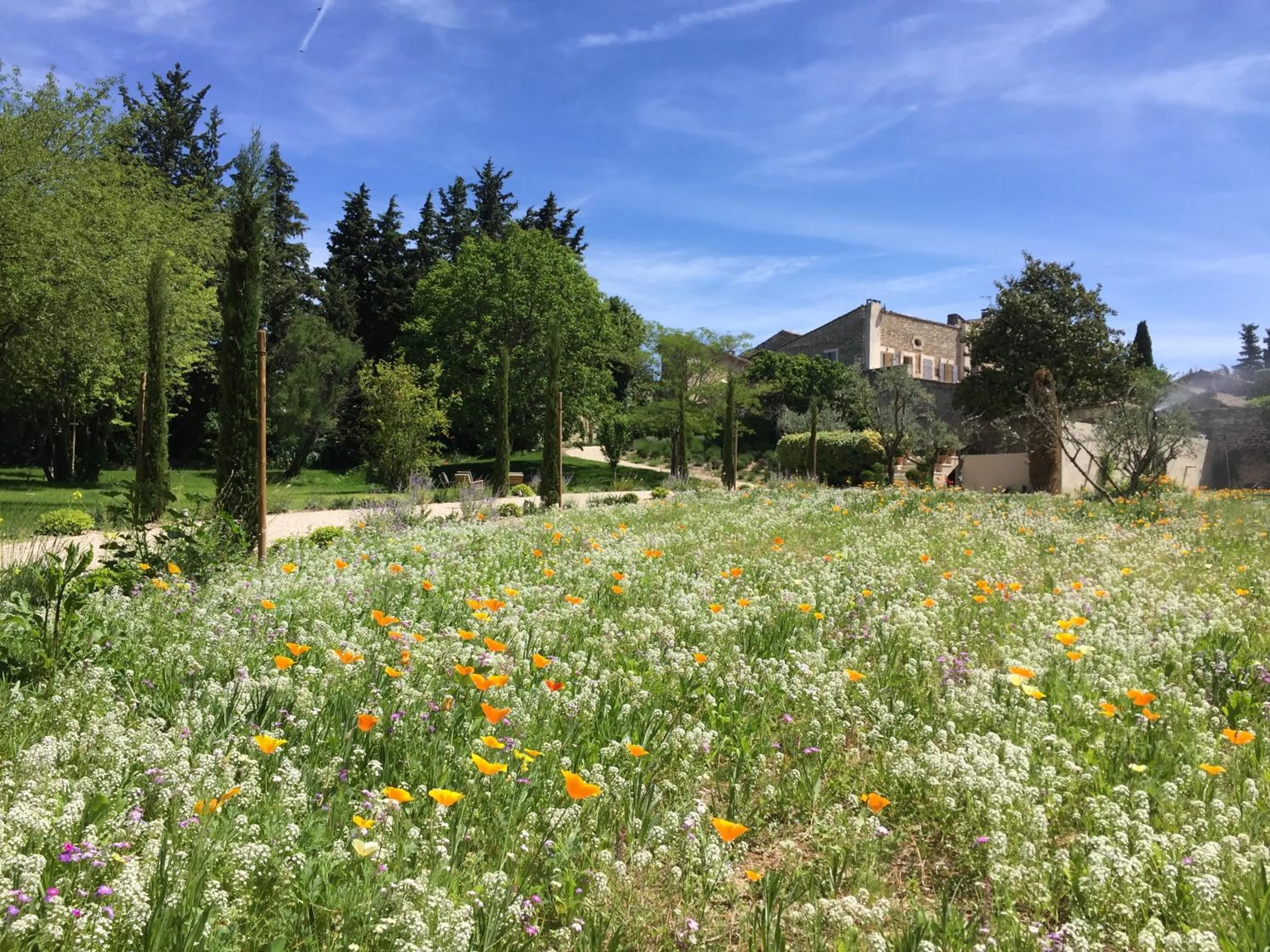 Garden view in Domaine Les Martins - Gordes