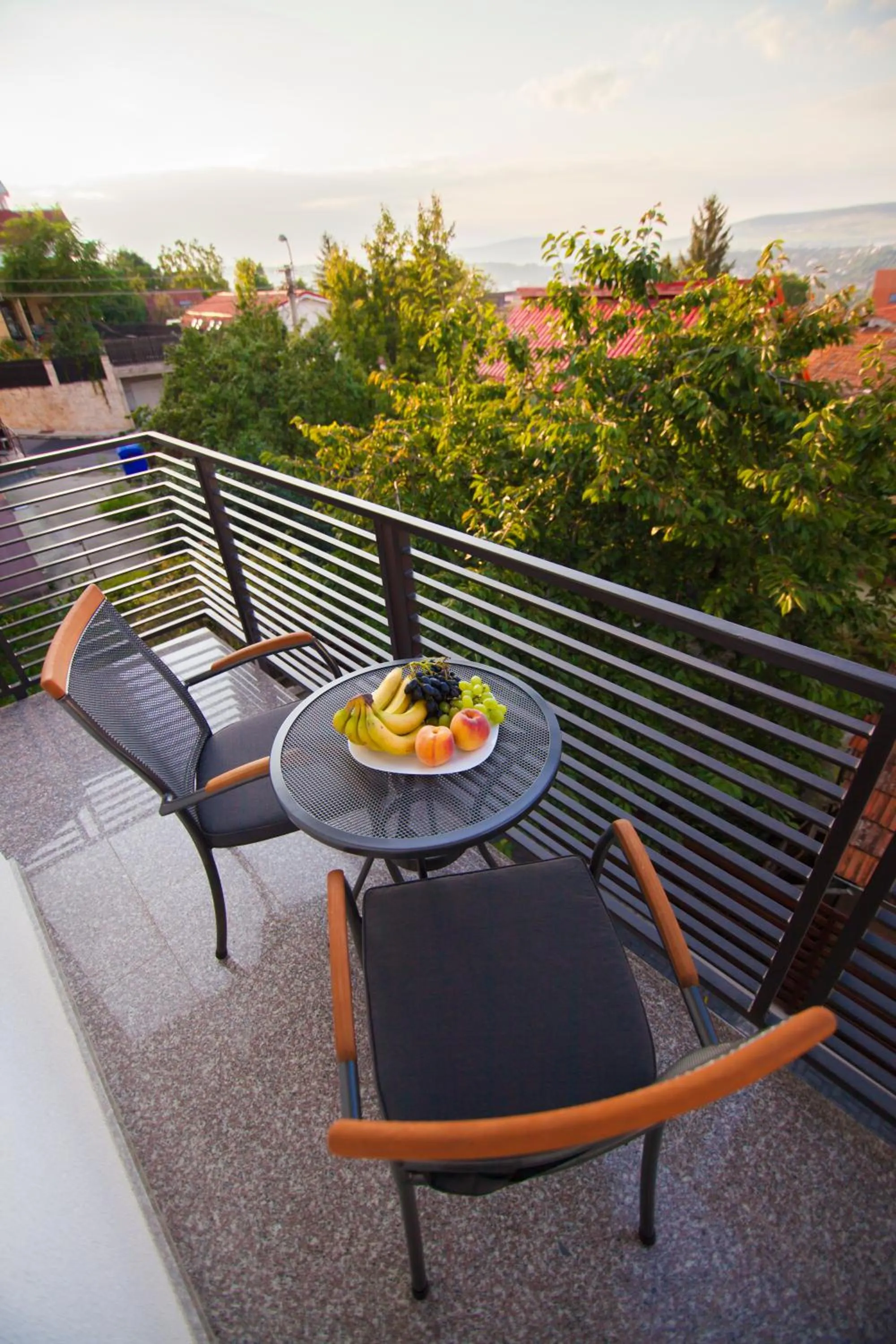 Balcony/Terrace in Cluj Business Class