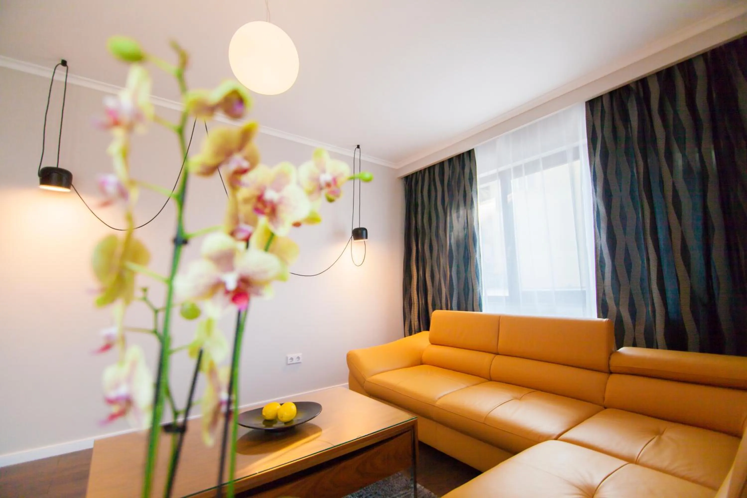 Property building in Cluj Business Class