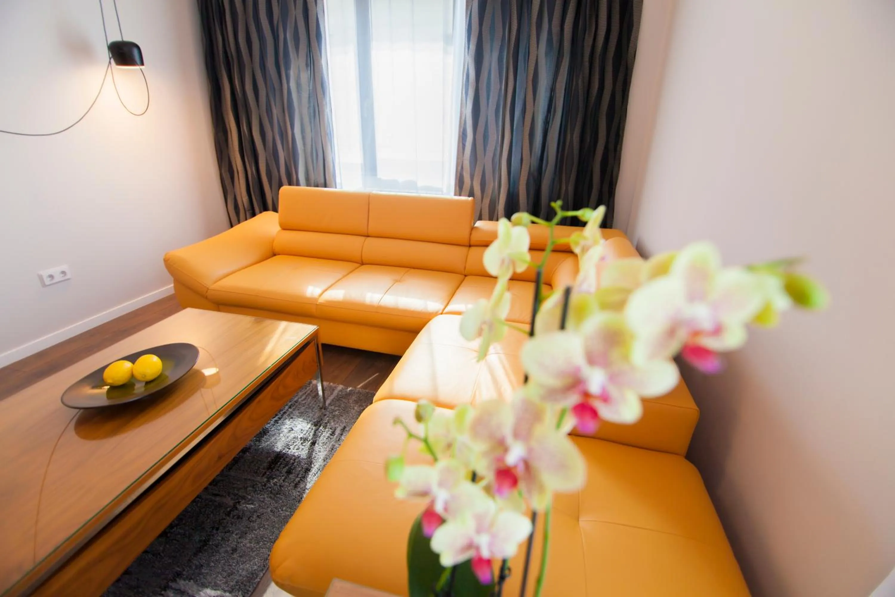 Property building in Cluj Business Class