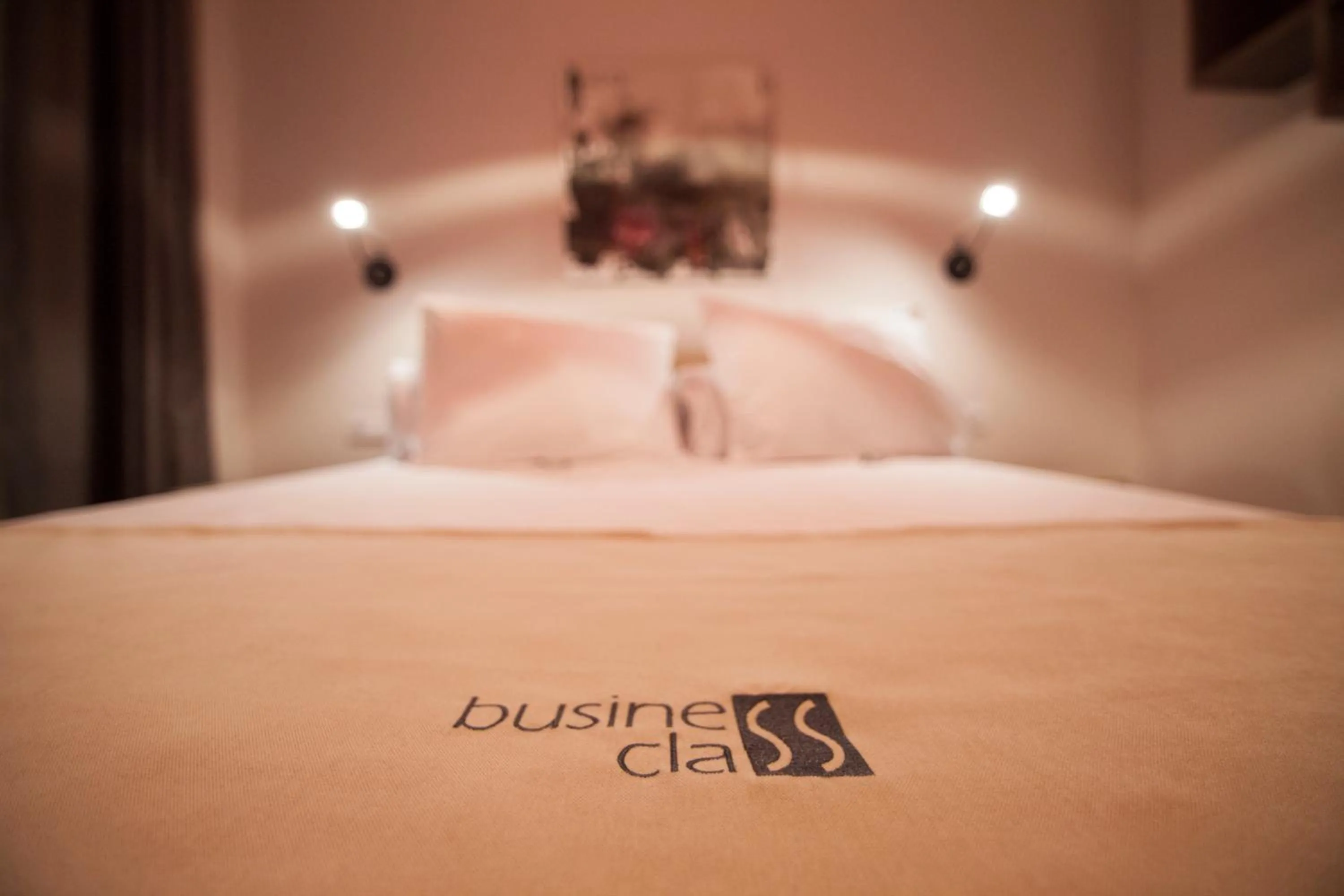 Decorative detail, Bed in Cluj Business Class