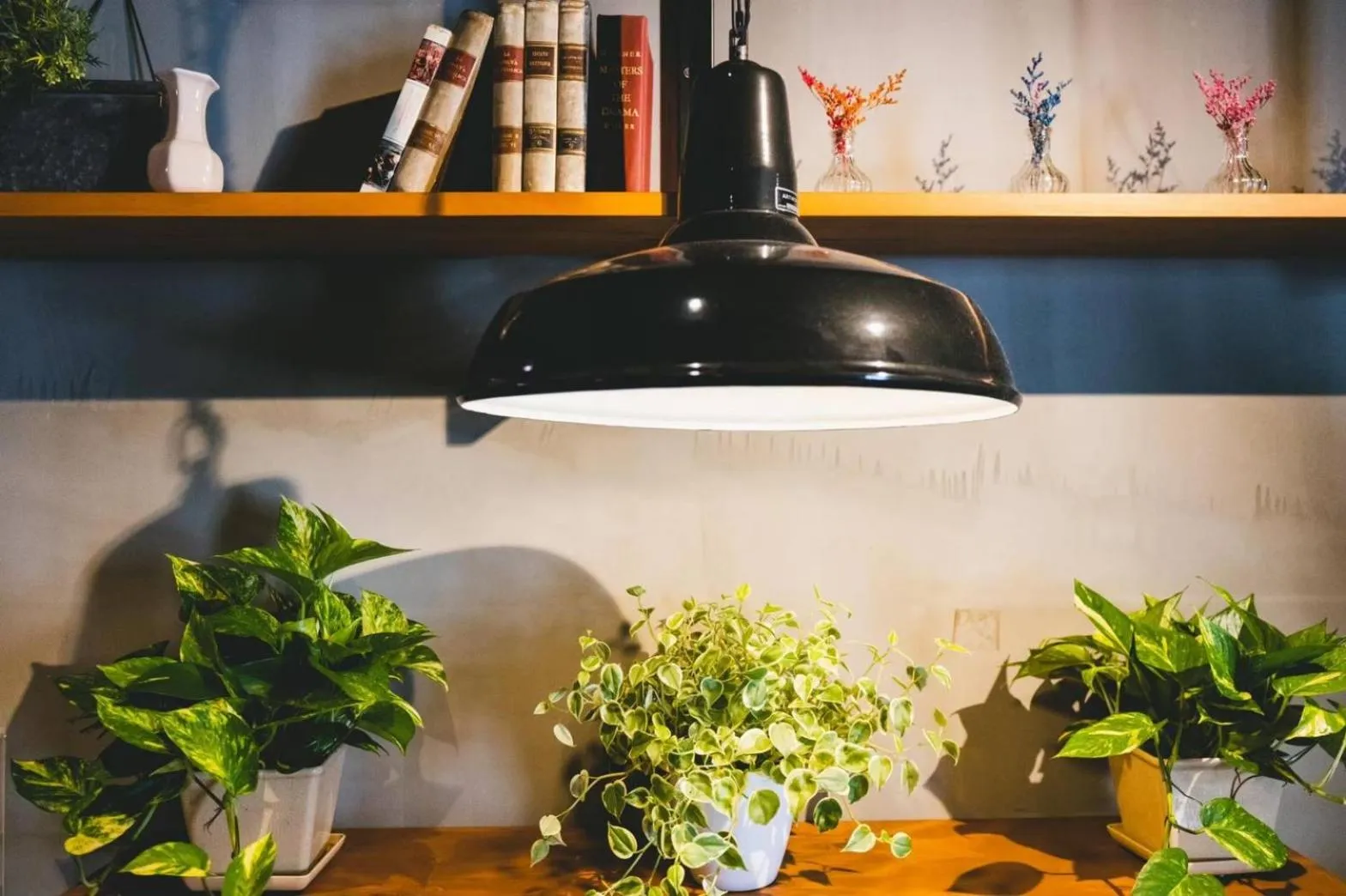 Area and facilities in The Kitchen Hostel Ao