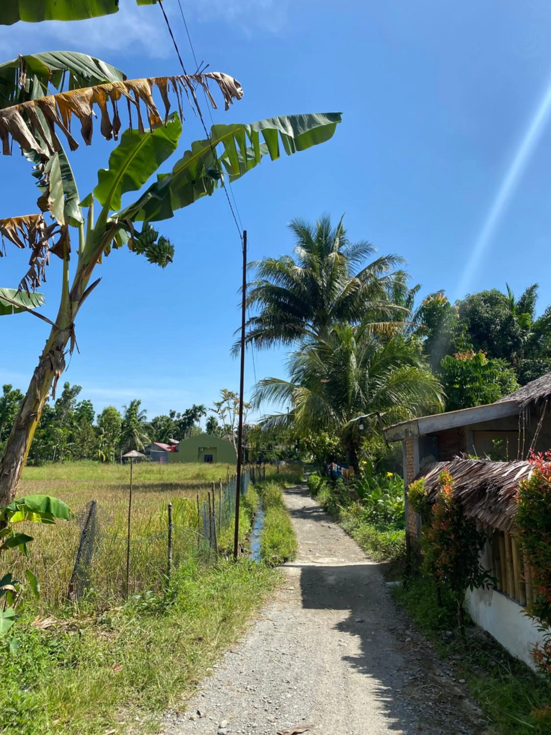 Villa Paradise - Bukit Lawang