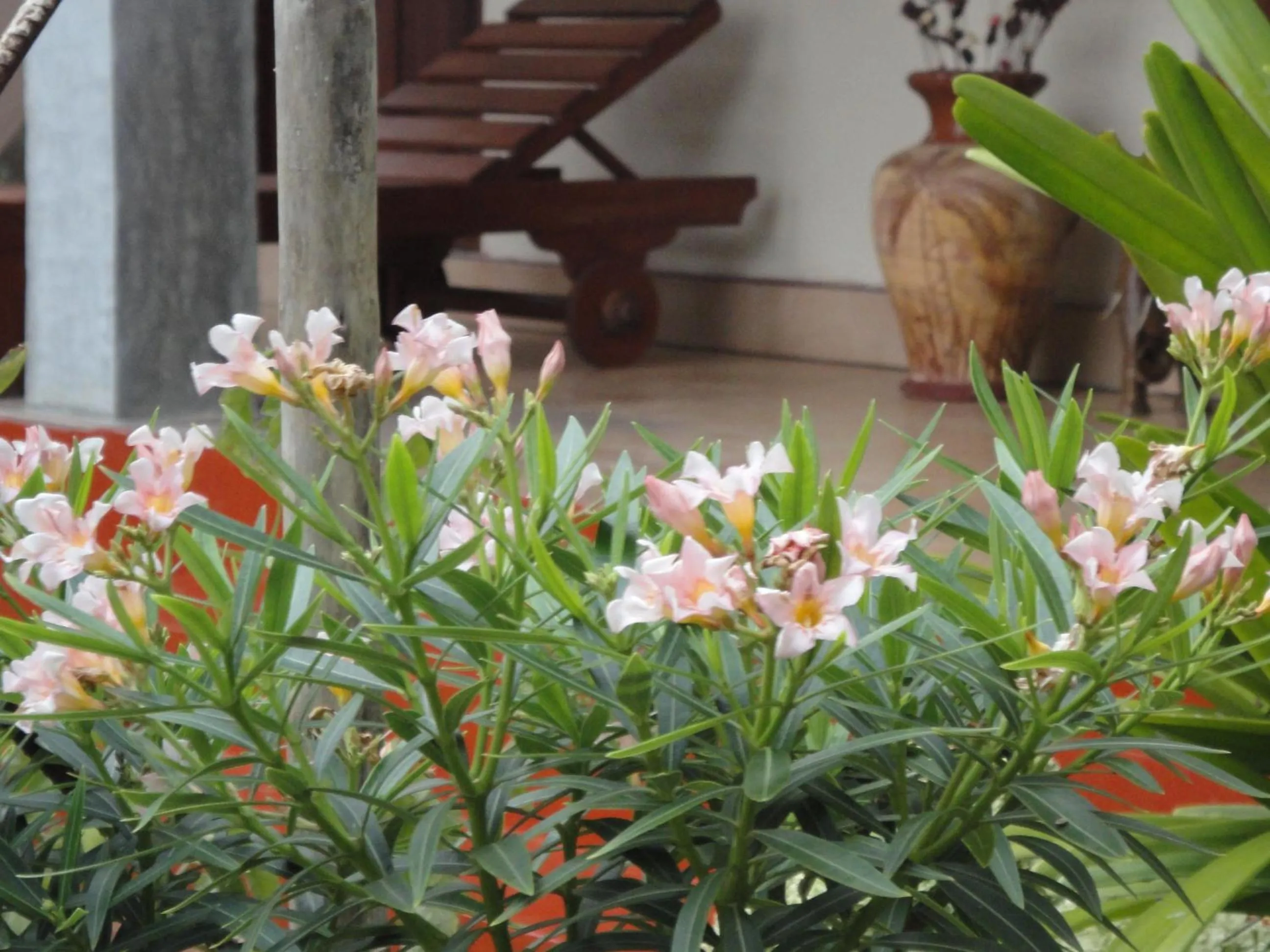 Garden in Sapara River Guest