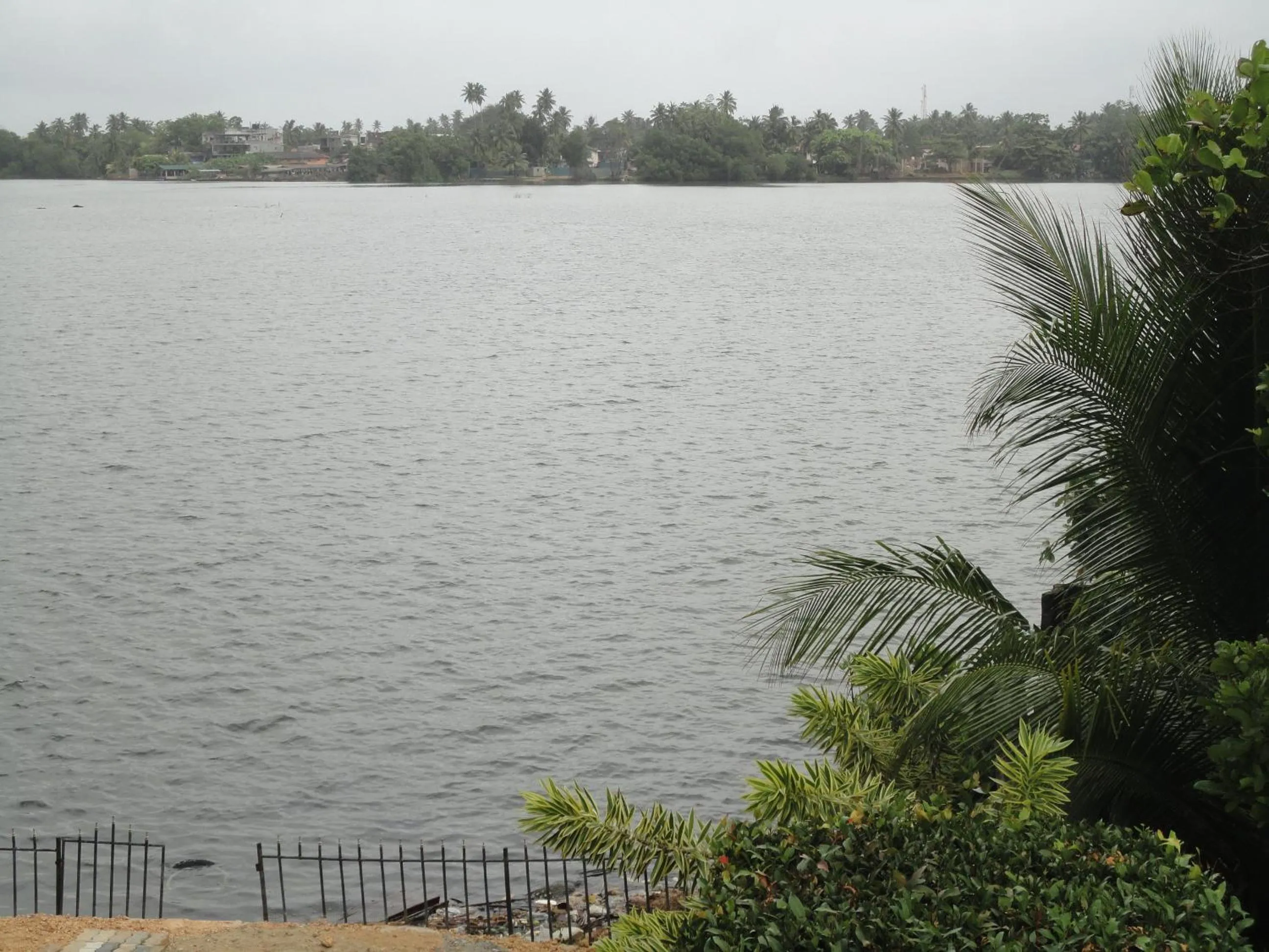 River view in Sapara River Guest