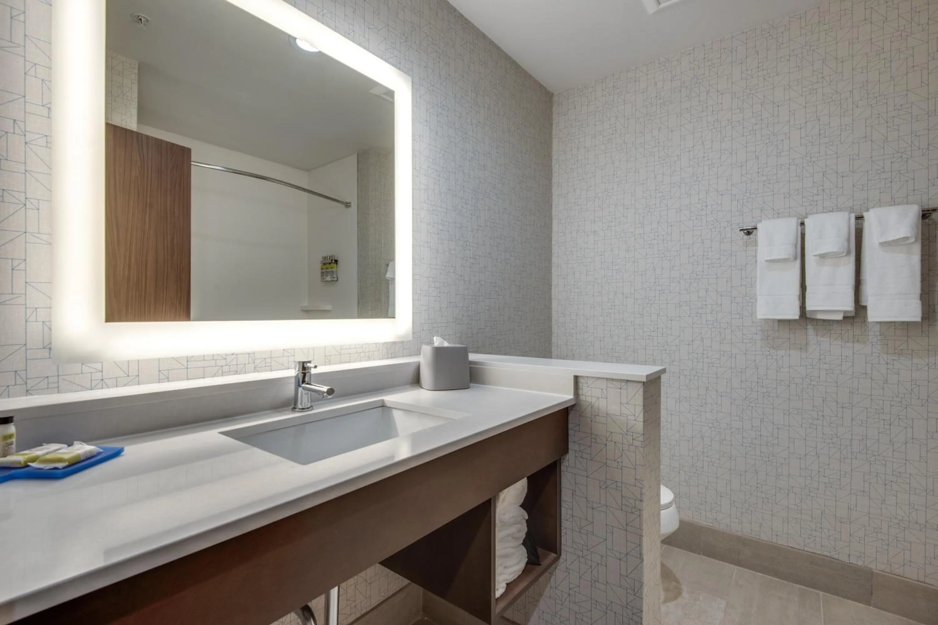 Bathroom in Holiday Inn Express & Suites Dallas North - Addison by IHG