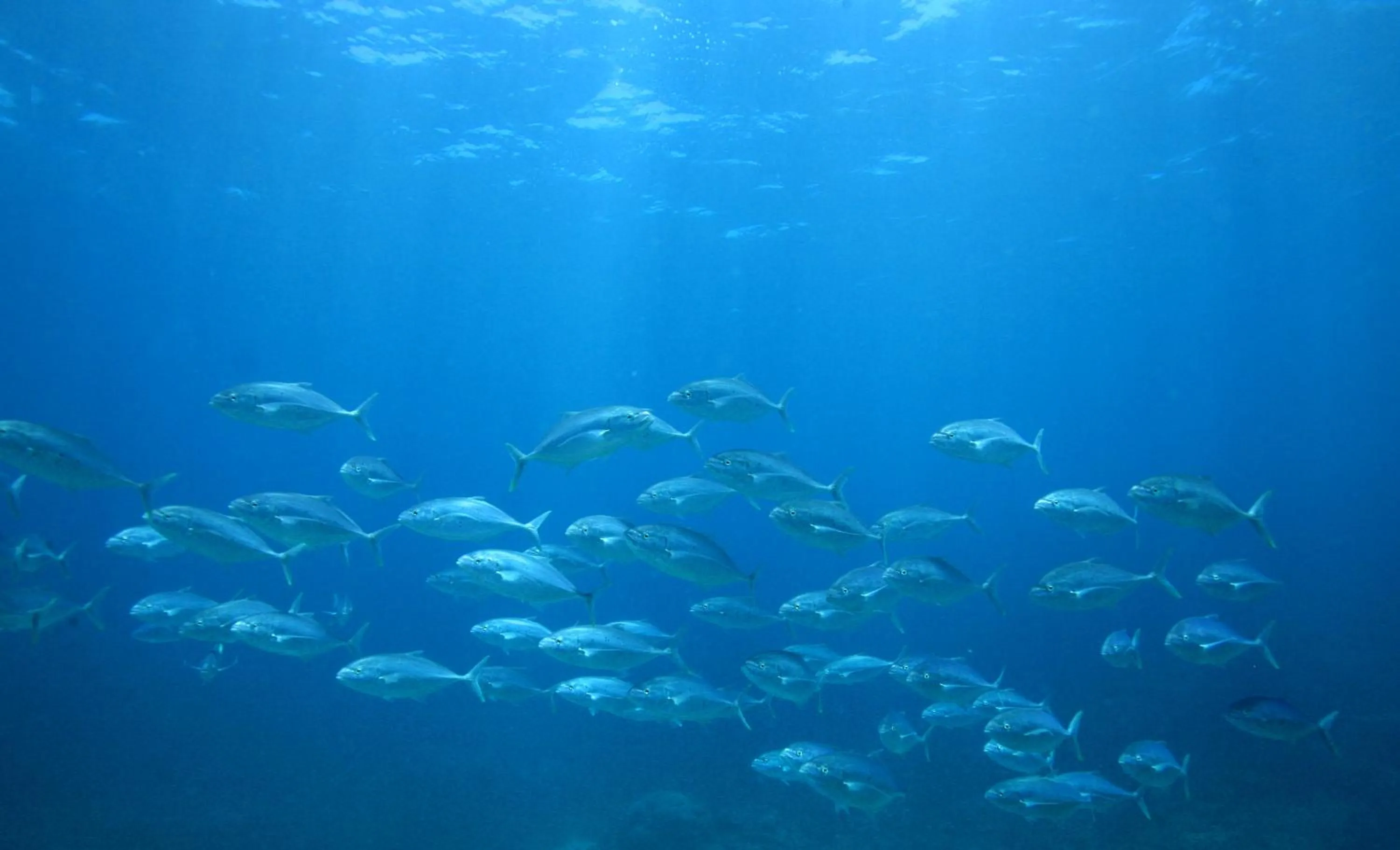 Natural landscape in Mackerel Islands