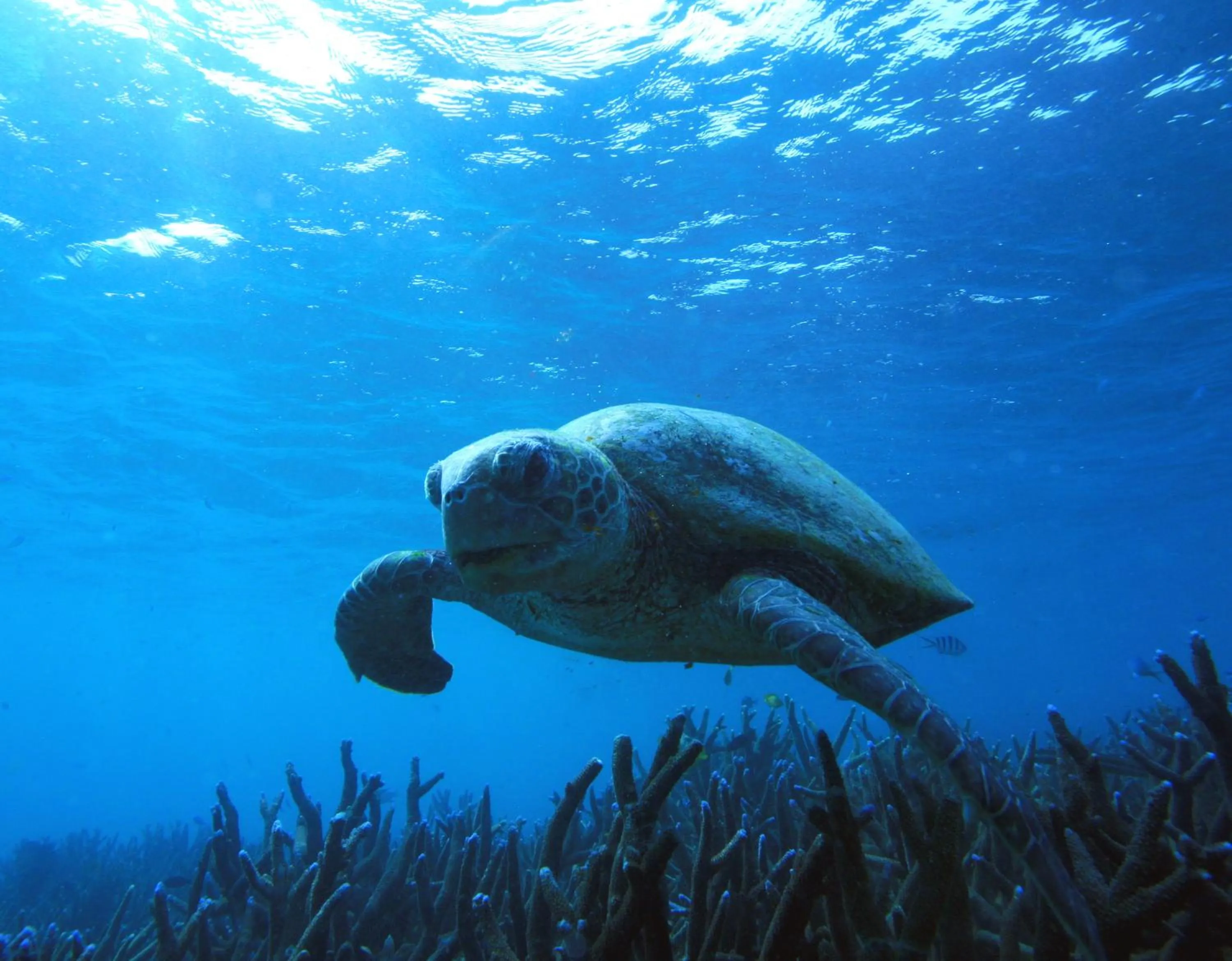 Natural landscape in Mackerel Islands