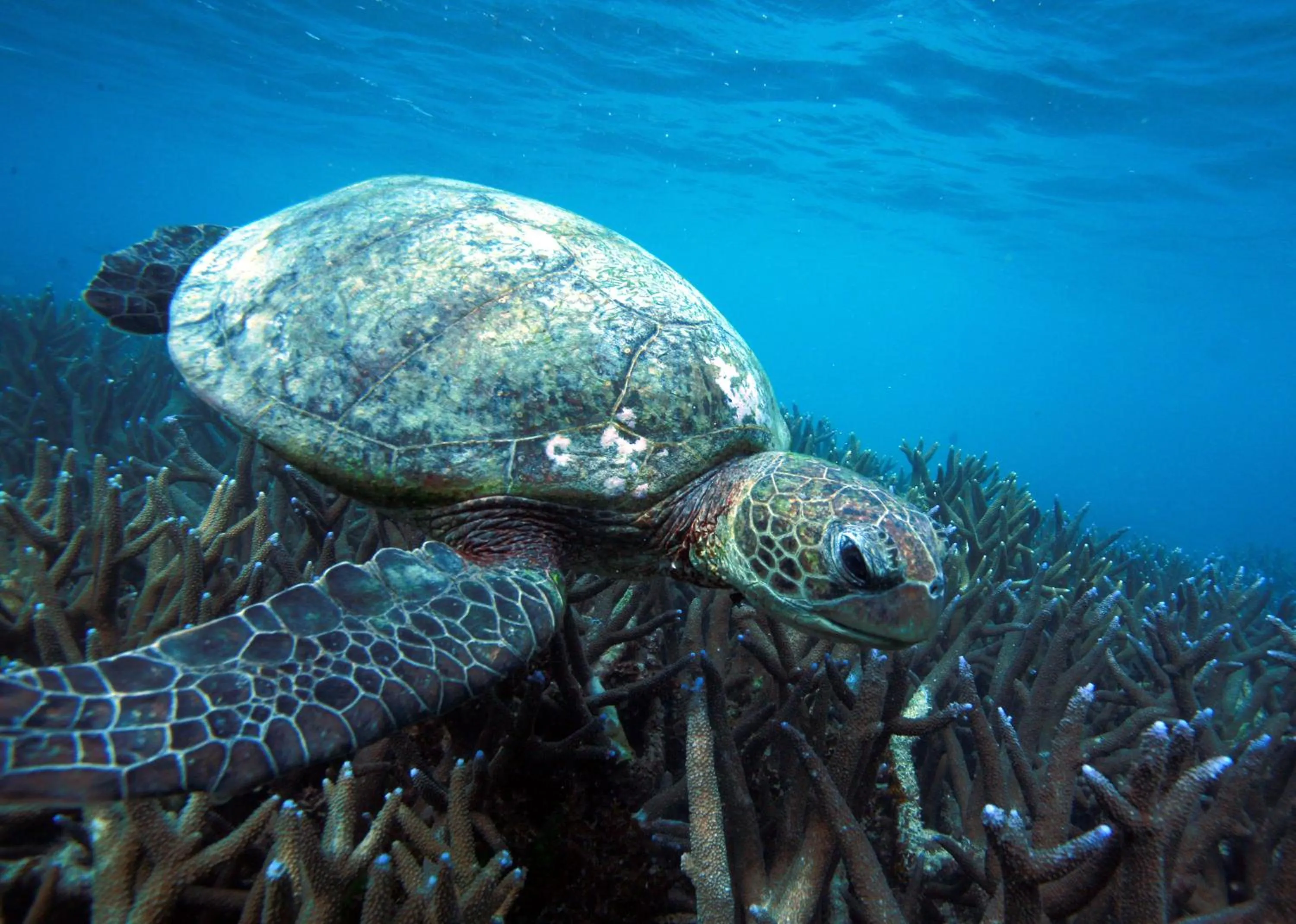 Natural landscape in Mackerel Islands