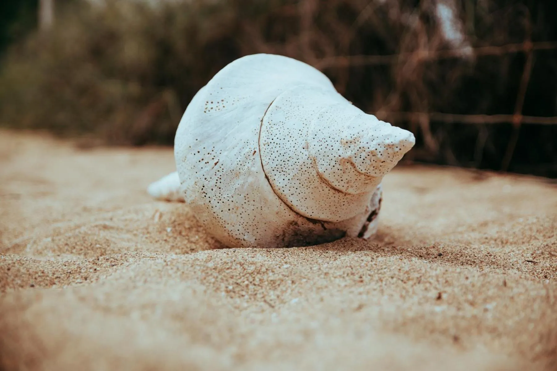 Natural landscape in Mackerel Islands
