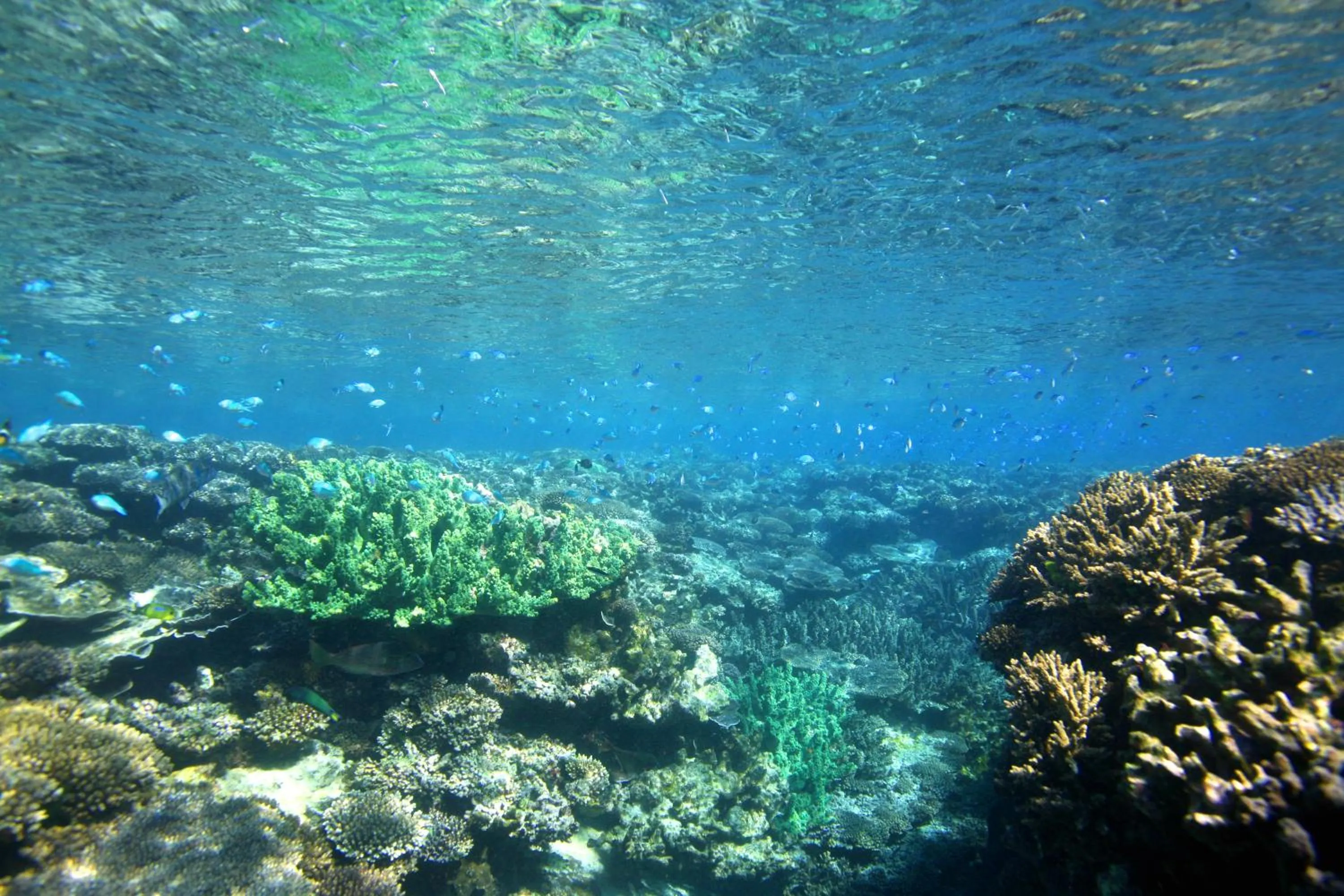 Natural landscape in Mackerel Islands