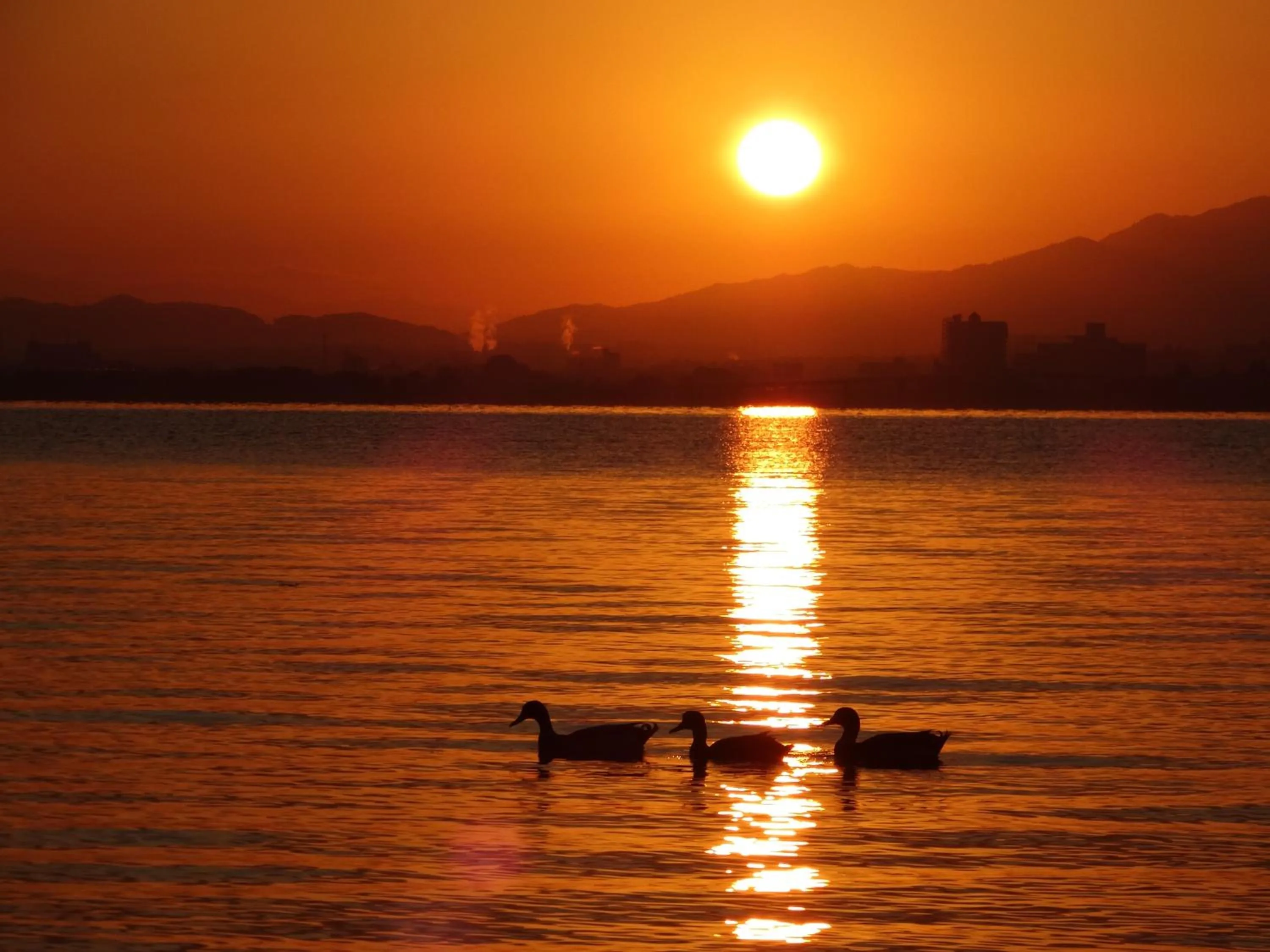 Off site in Calendar Hotel