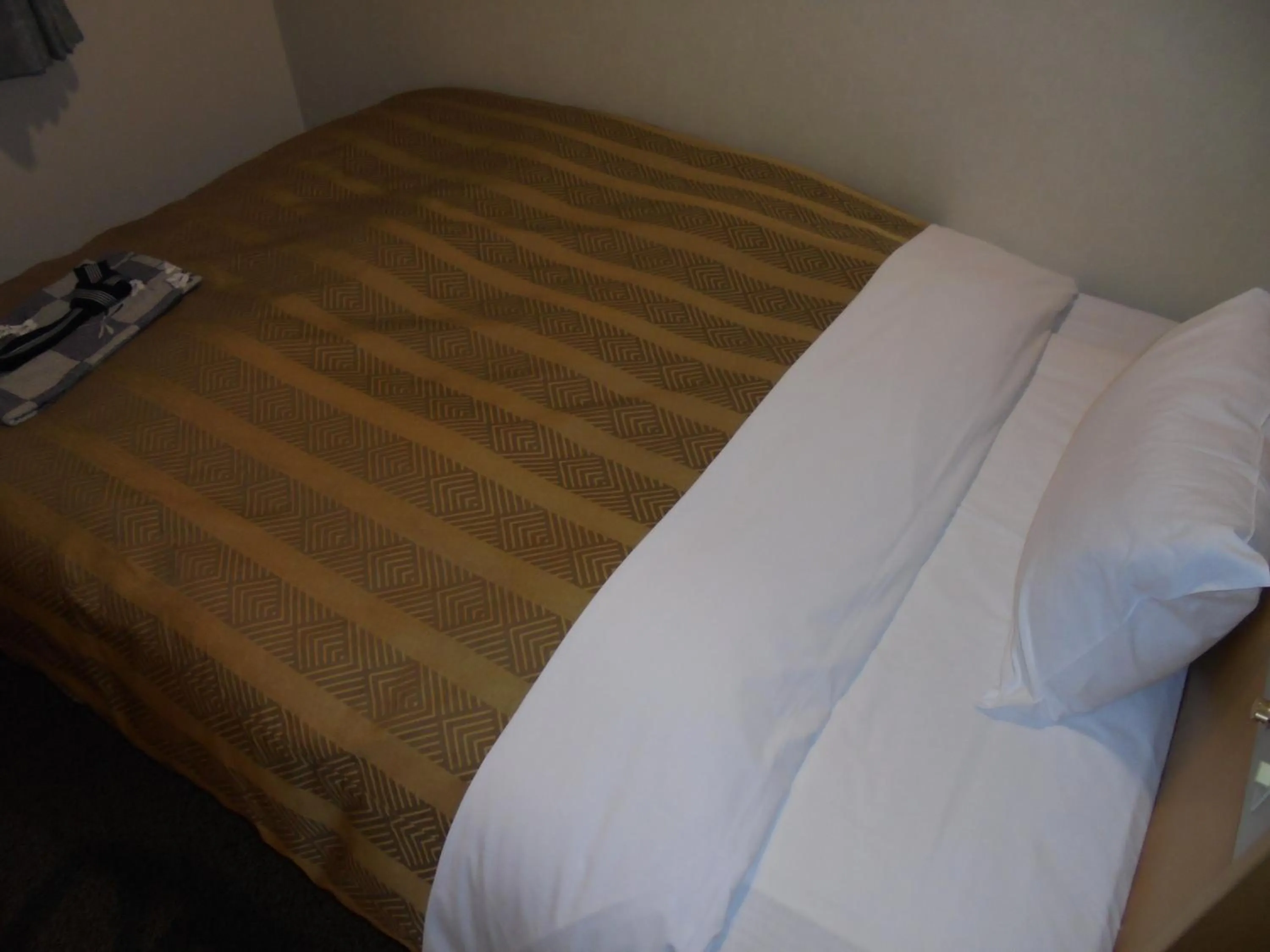 Bed in Spa & Sauna Hotel Hitachi Plaza