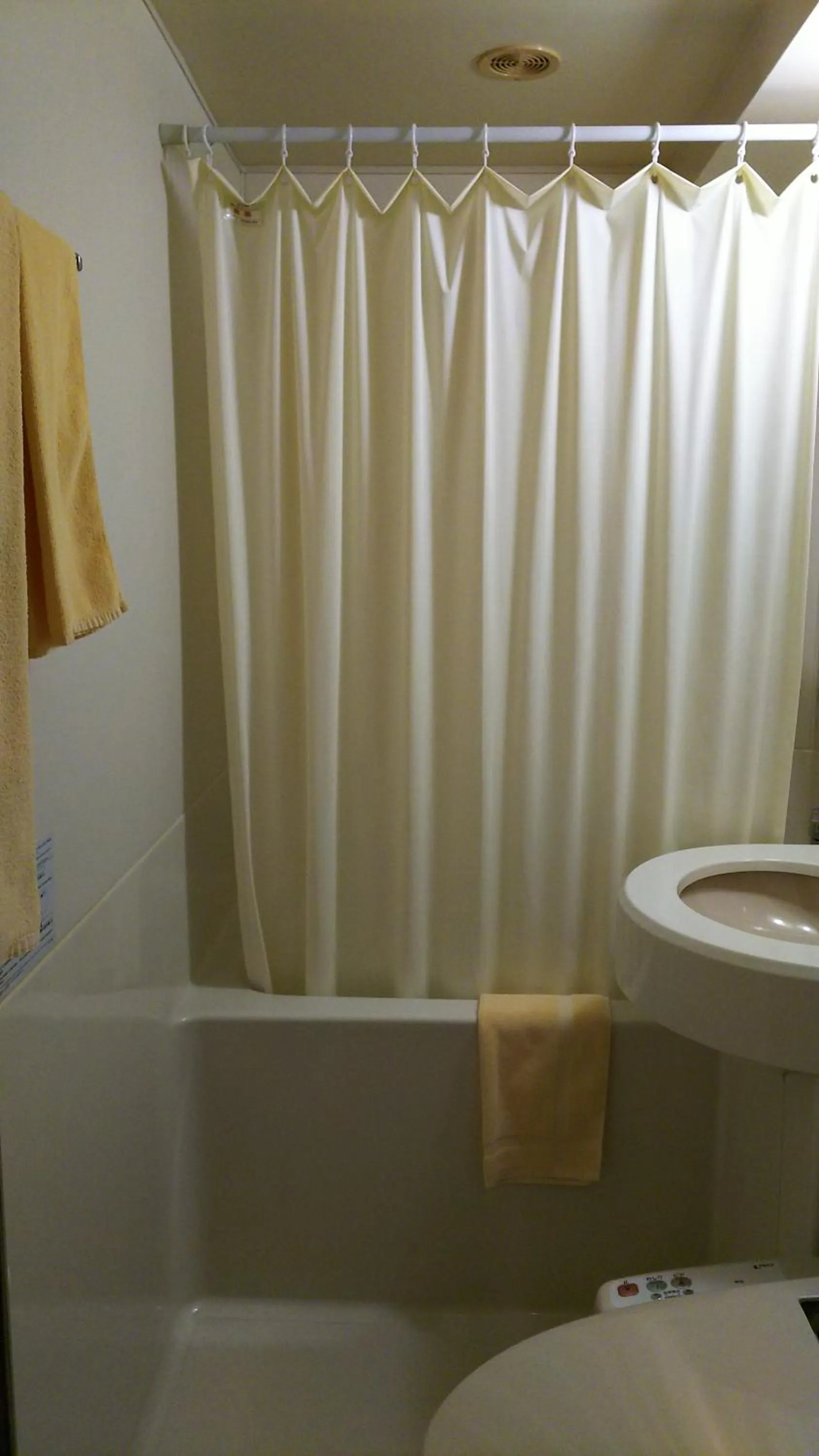 Toilet in New Central Hotel Katsuta