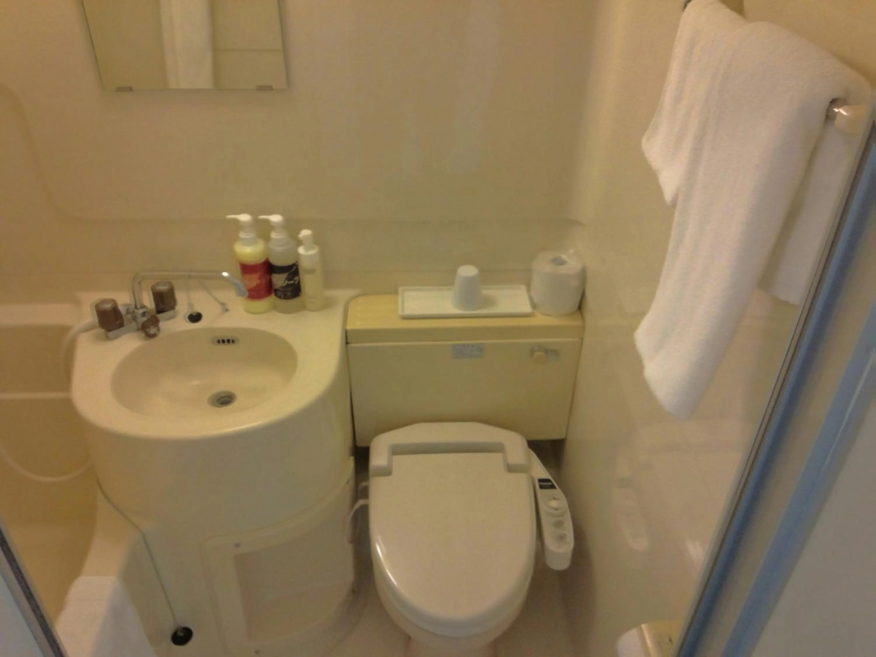 Photo of the whole room in Hotel Tsukuba Hills Umezono